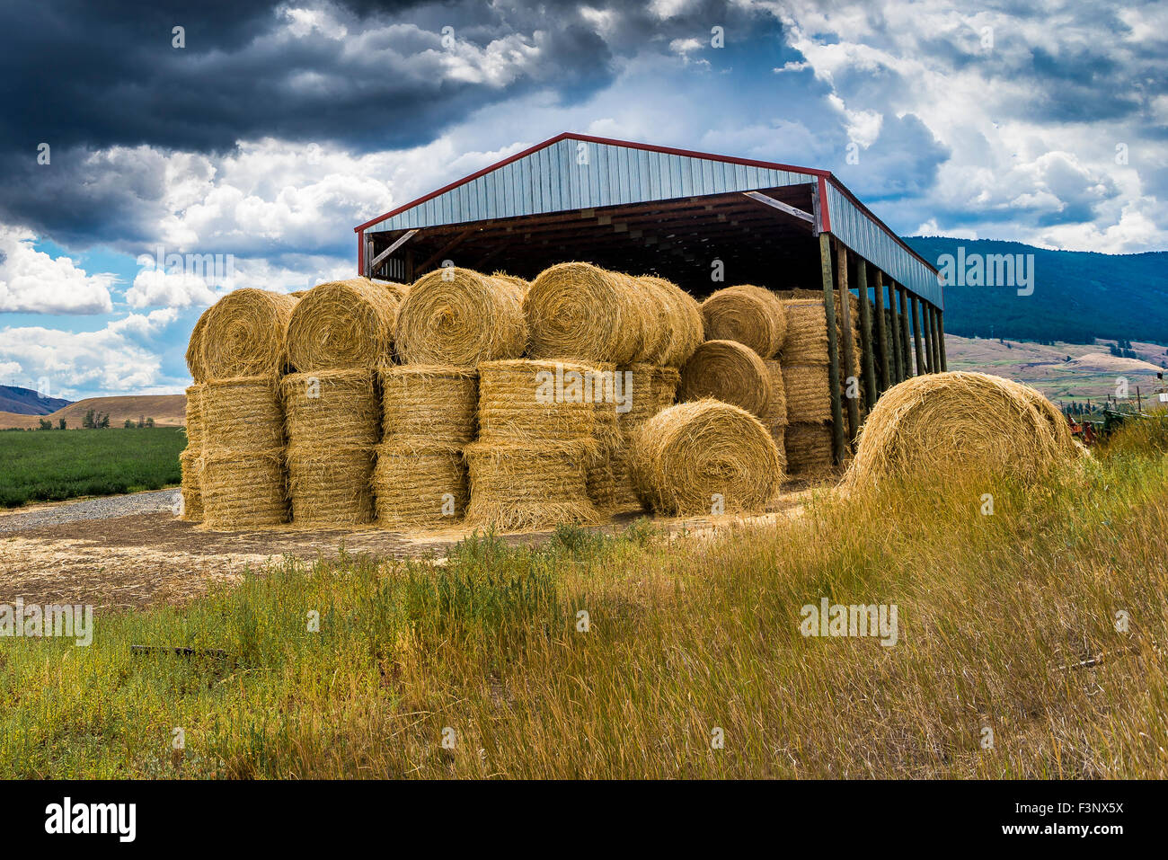 British hay bales hires stock photography and images Alamy