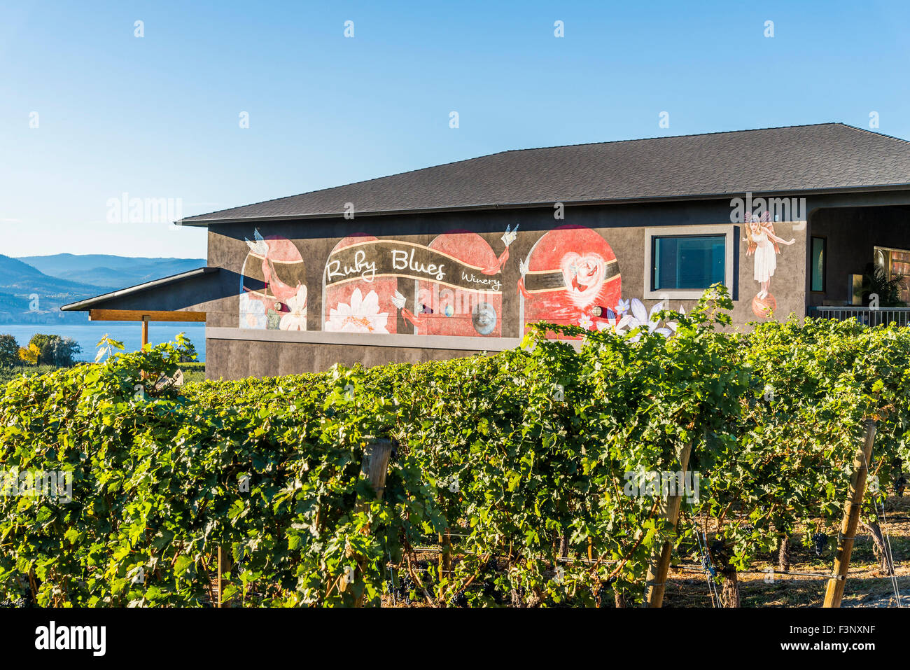 Ruby Blues Winery Naramata Bench British Columbia Canada Stock