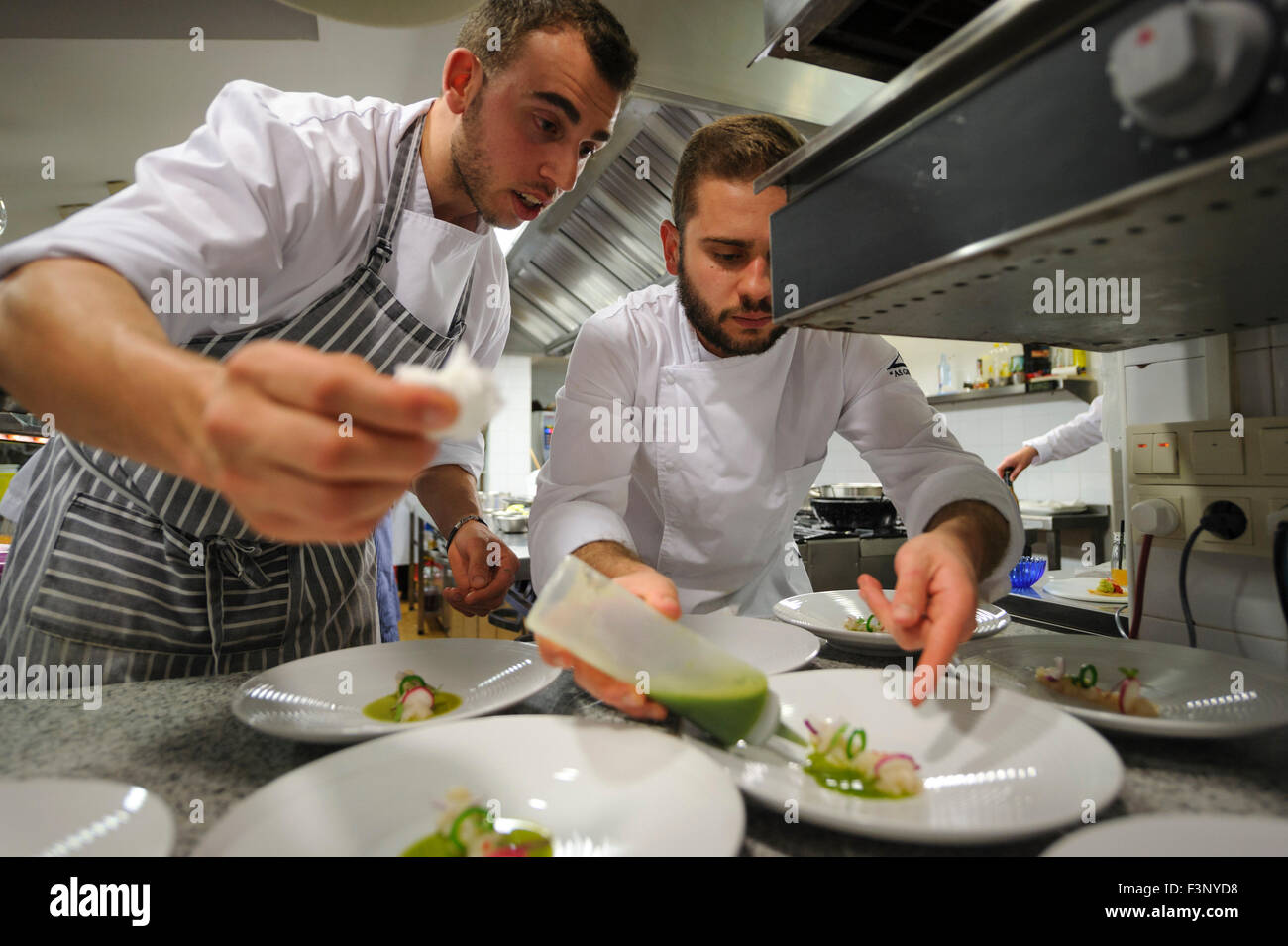 Chefs plating gourmet food Stock Photo