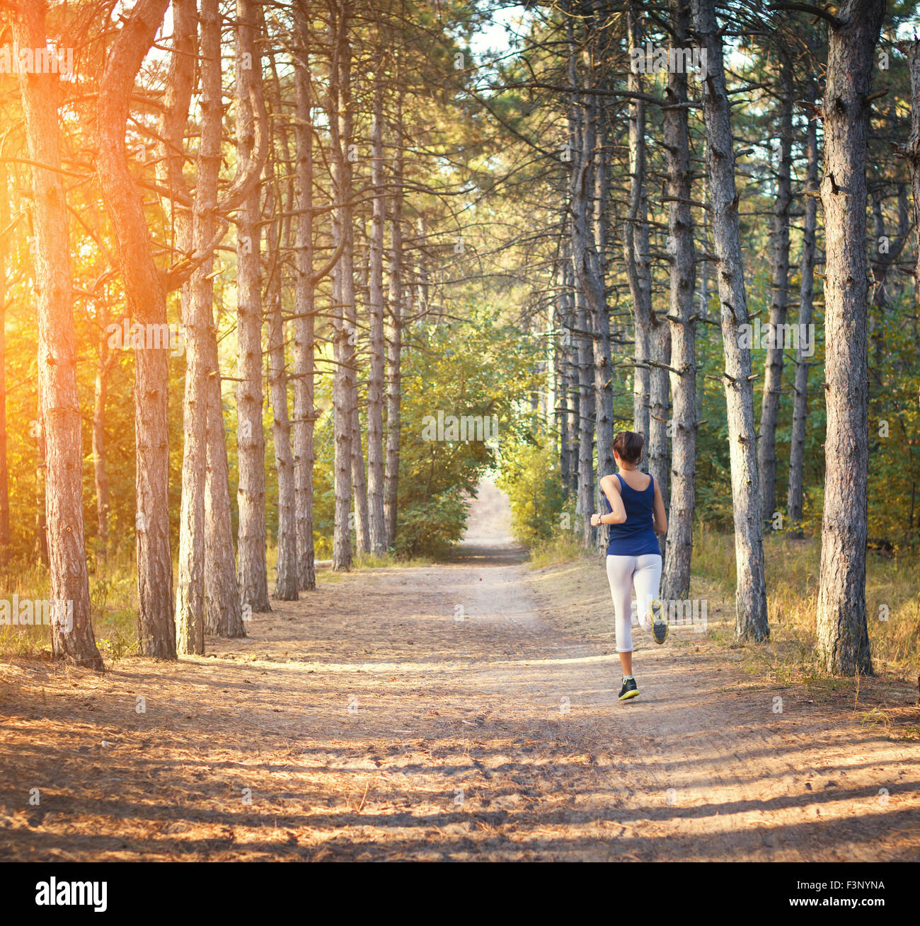 Young woman running on a rural road at sunset in autumn forest. Lifestyle sports background Stock Photo