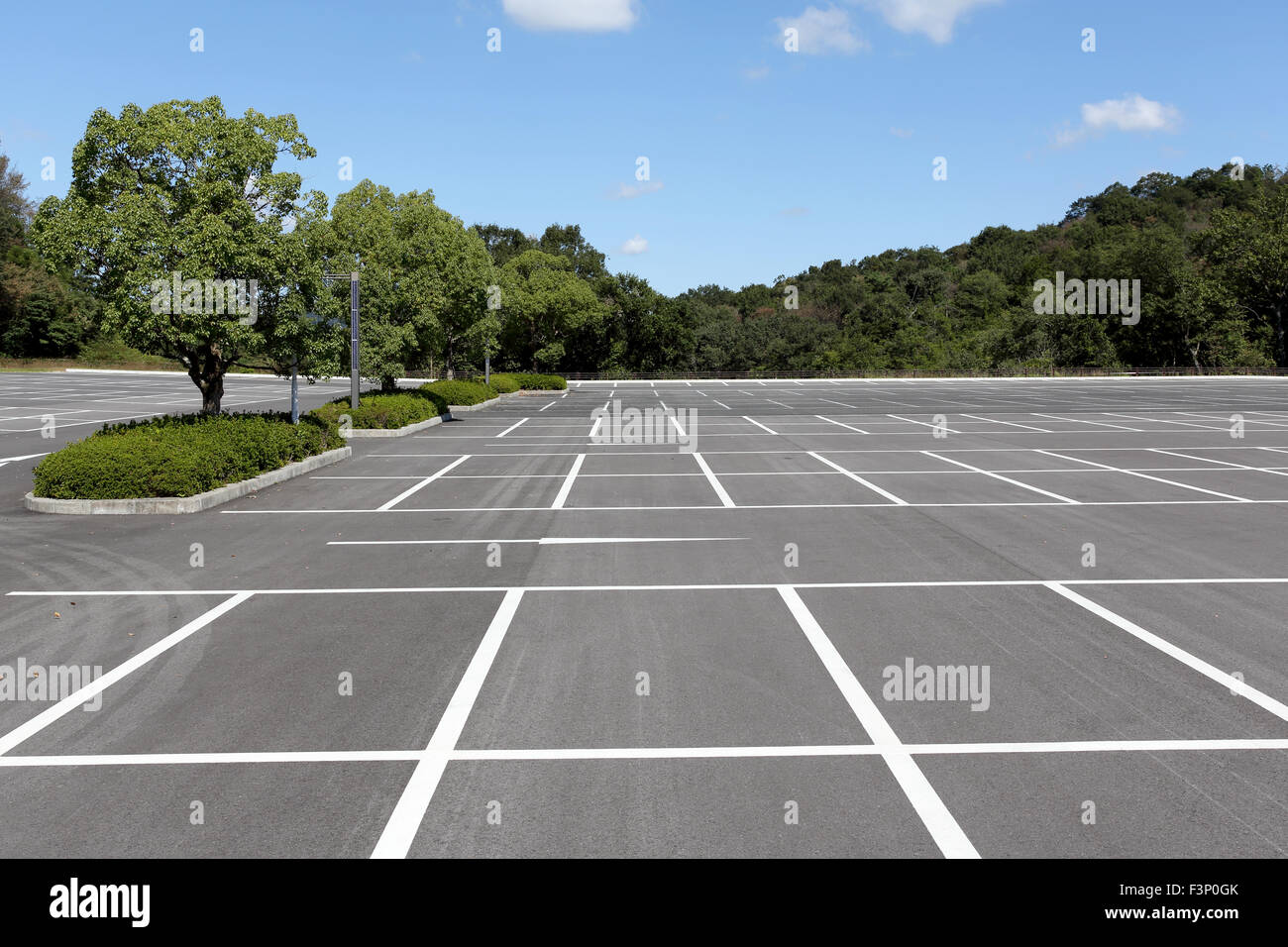 Empty parking tree hi-res stock photography and images - Alamy