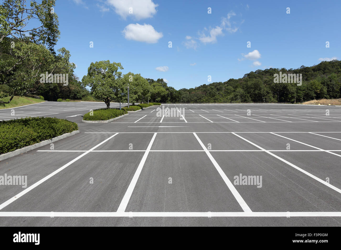 Billings Best Parking Spots are Empty [PICS]