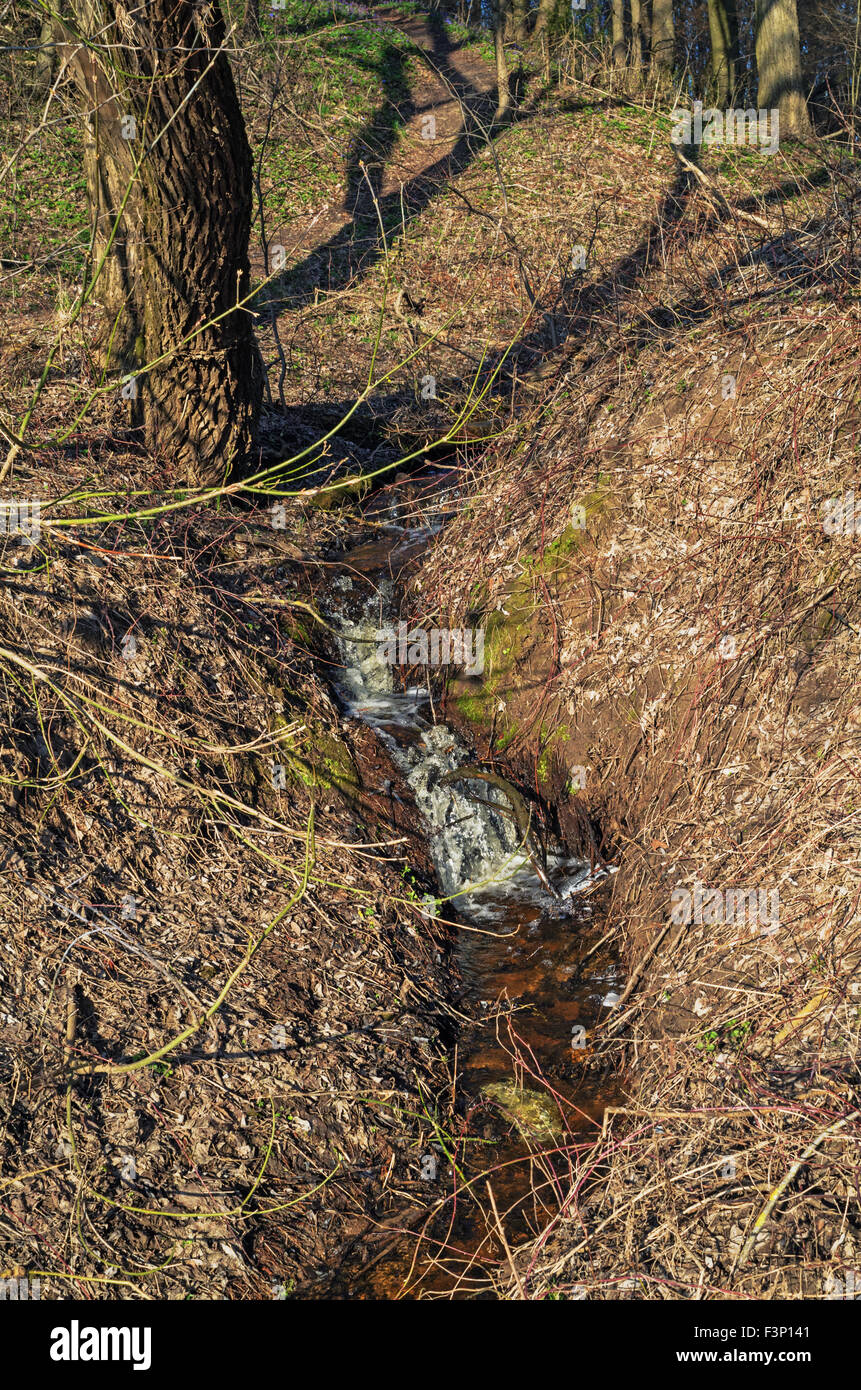 Spring forest landscape with stream Stock Photo - Alamy