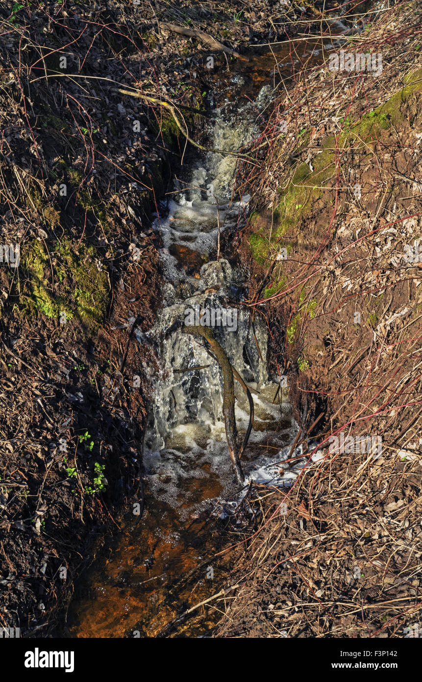 Spring forest landscape with stream Stock Photo - Alamy