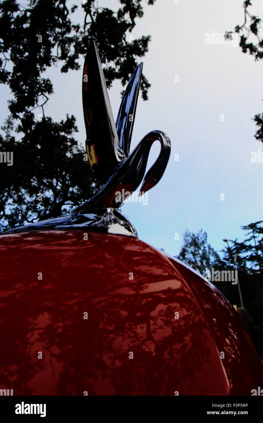 classic car hood ornament brian mcguire Stock Photo Alamy