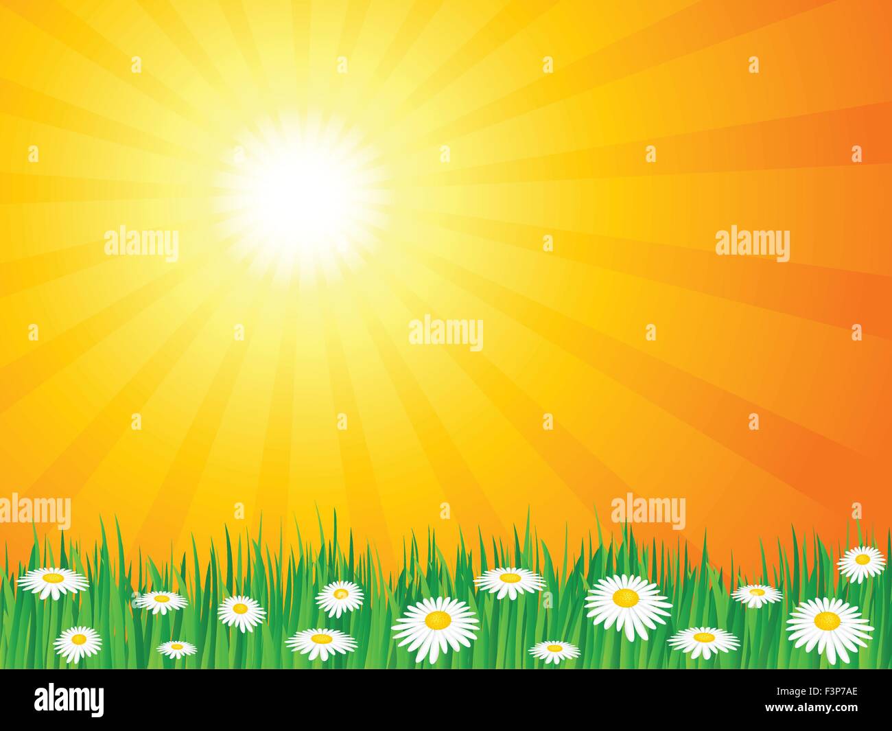 Beautiful rural landscape view. Vector illustration Stock Vector Image ...