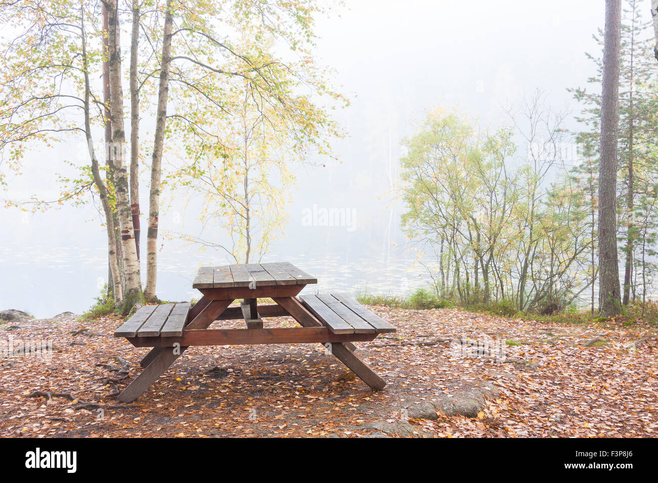 Camping Bench And Table In Misty Autumn Forest Ground Full Of