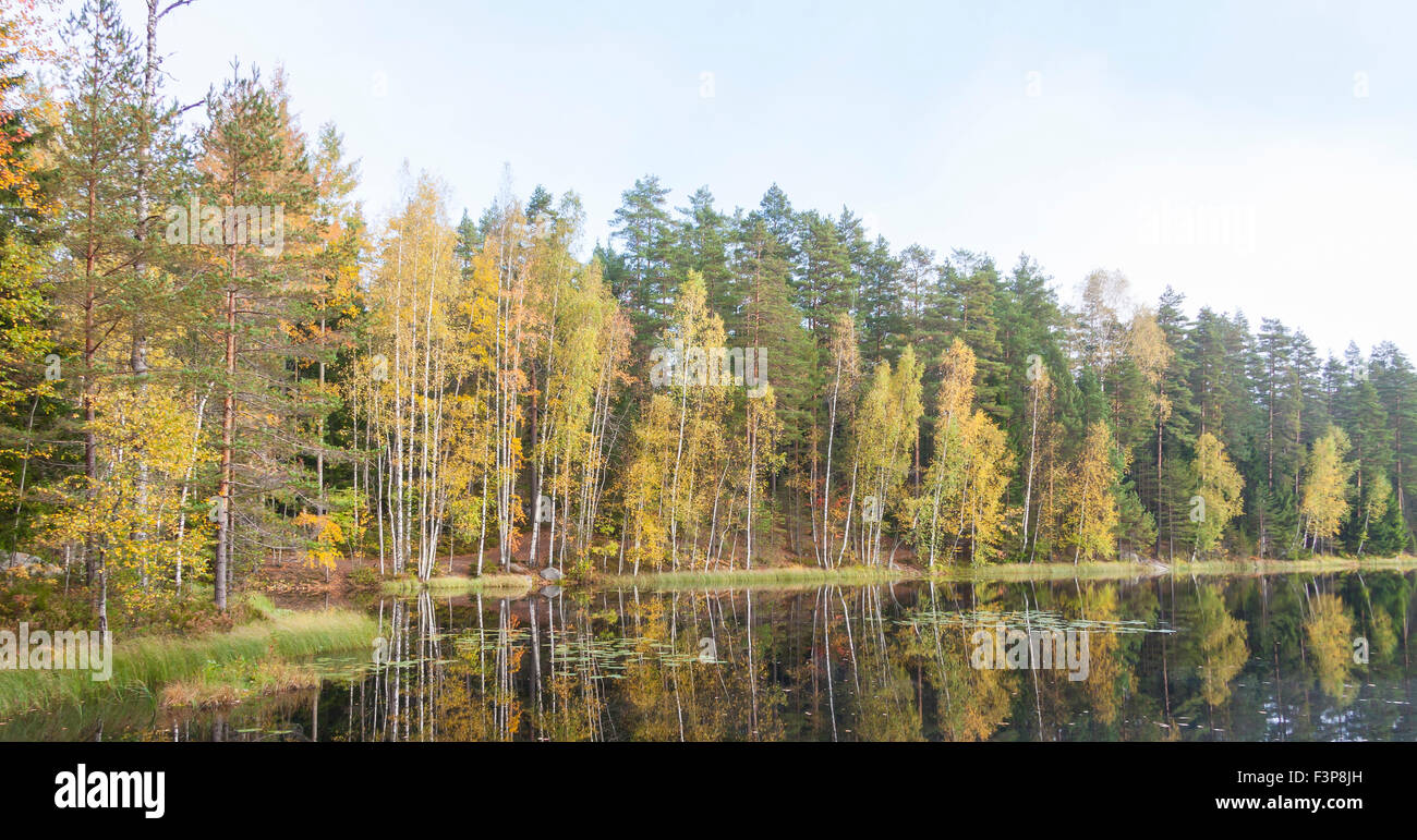 Colorful autumn forest grown at lake edge Stock Photo