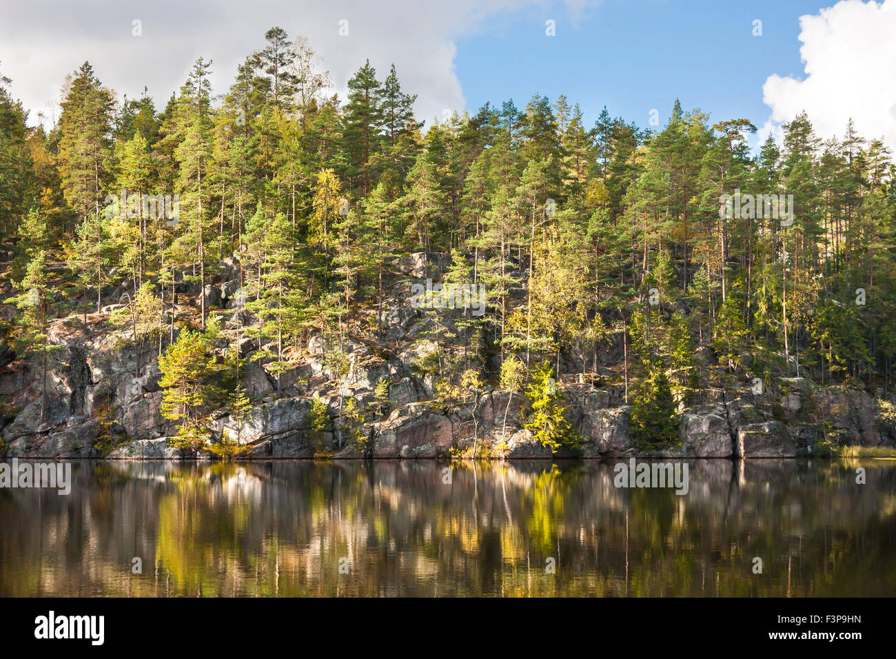 Green forest grow on top of a cliff aside lake Stock Photo
