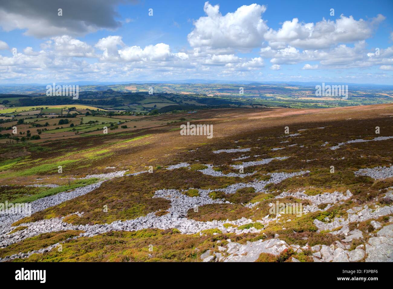 Shropshire moorland, England. Stock Photo