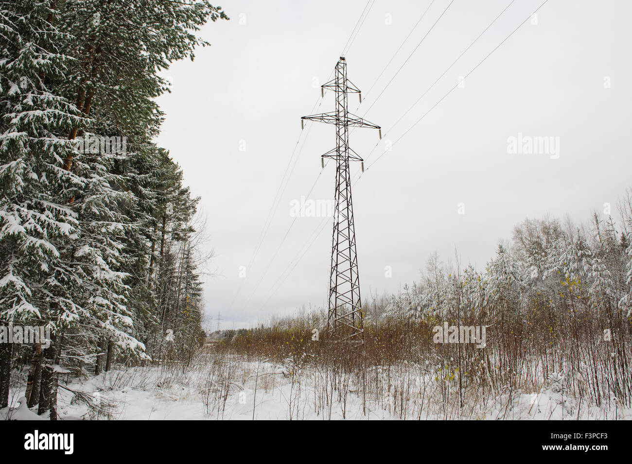 high-voltage power line in the snowy forest Stock Photo - Alamy