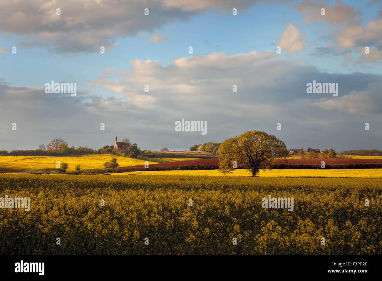 Worcestershire farmland, England. Stock Photo