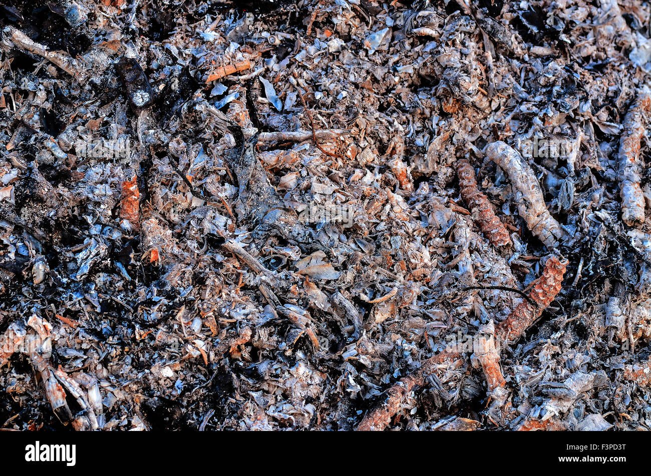 Ashes of wood and leaves Stock Photo Alamy