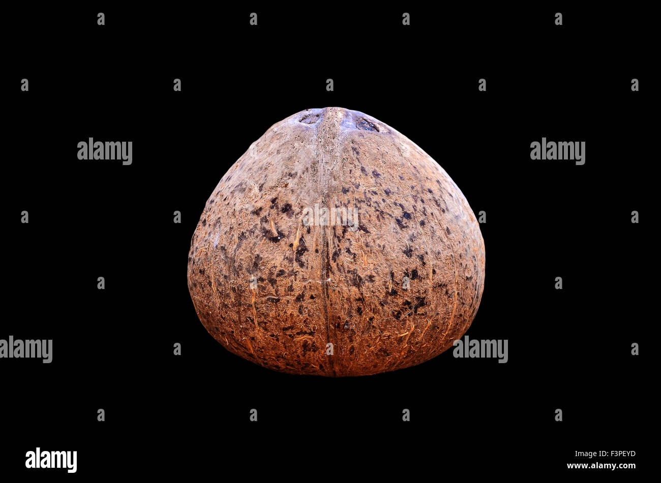 Coconut shell on black background Stock Photo