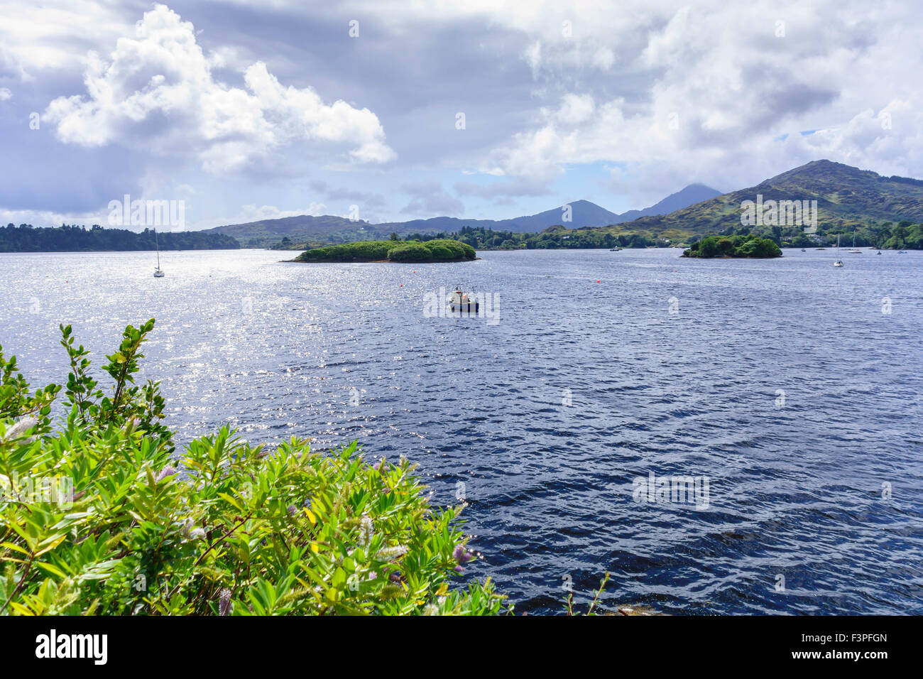 Bantry Bay Glengarriff Co Cork Ireland Stock Photo Alamy