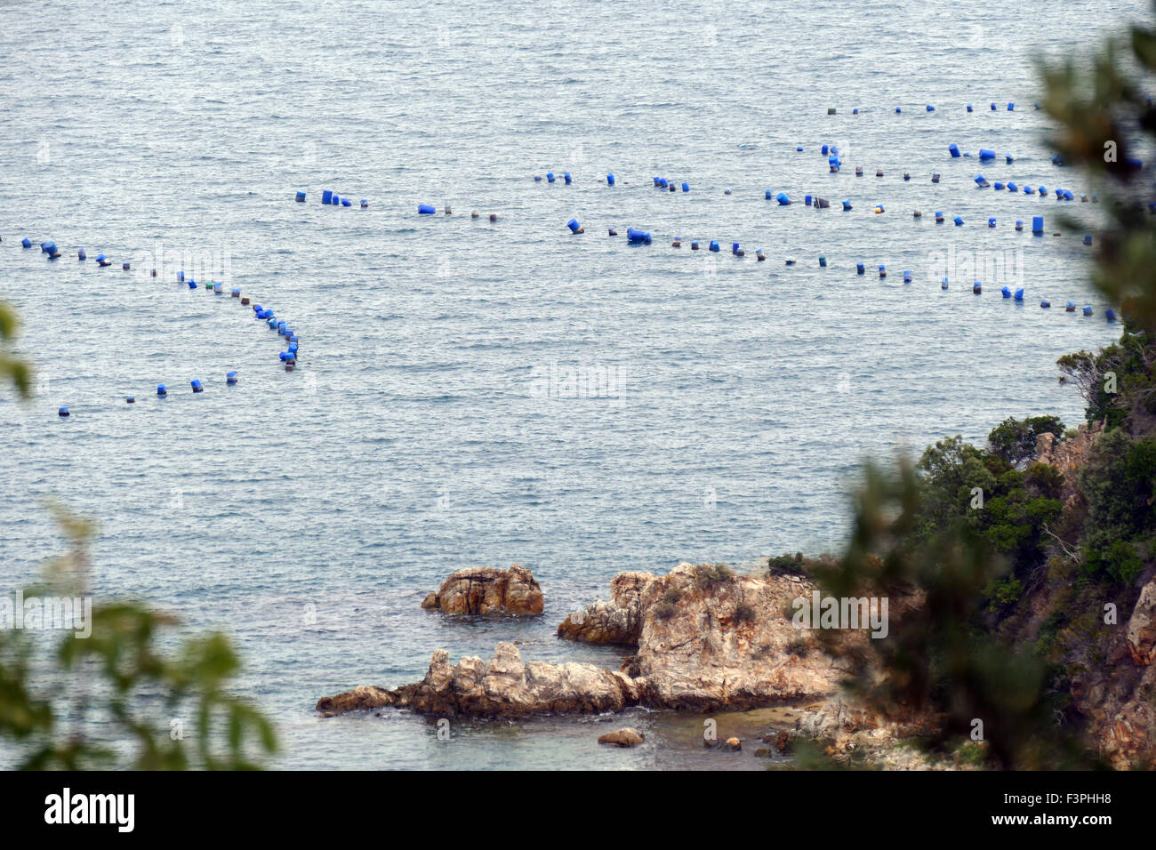 Mussel farm hires stock photography and images Alamy