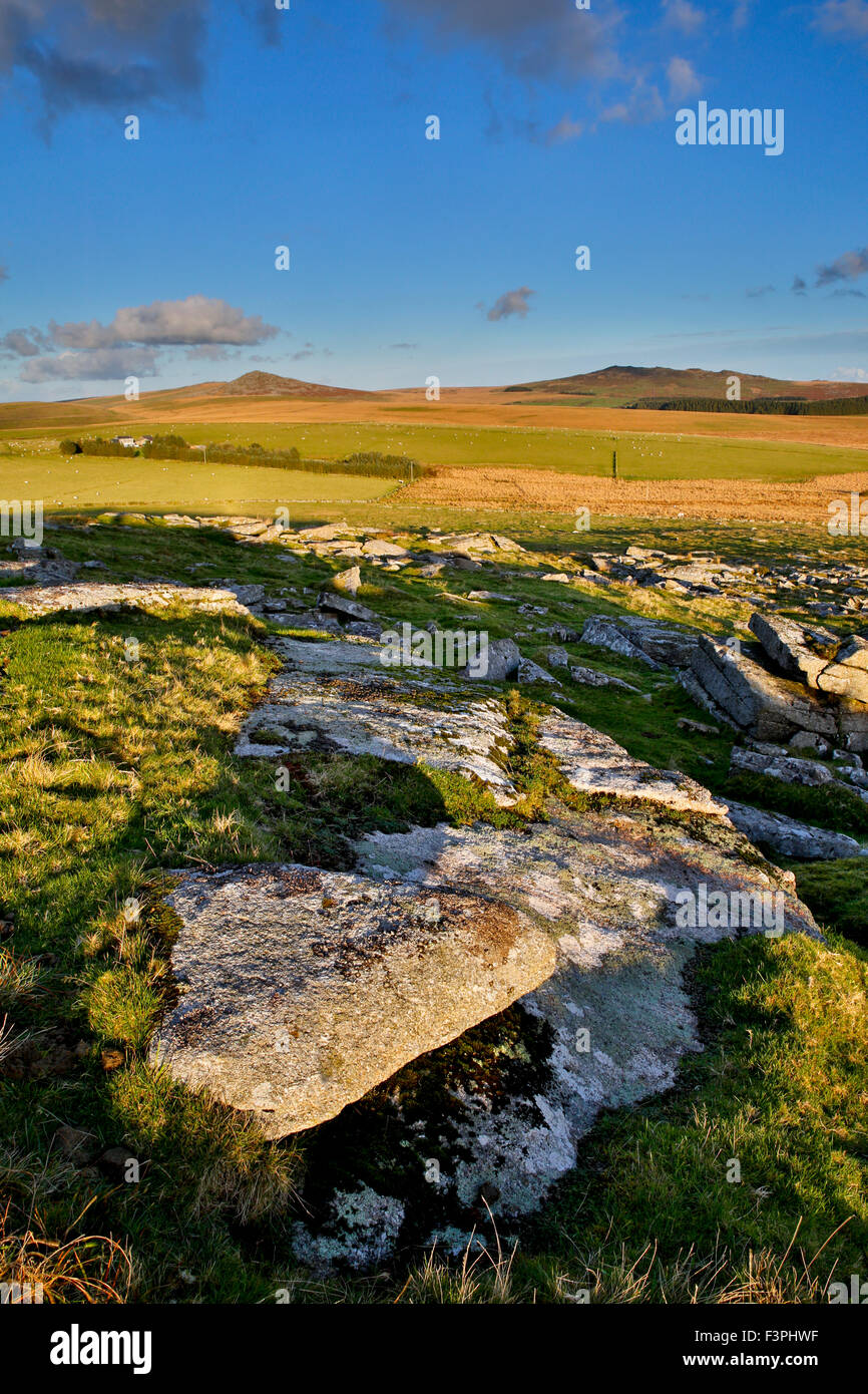 Rough Tor and Brown Willy; From Alex Tor Bodmin Moor; Cornwall; UK Stock Photo Alamy