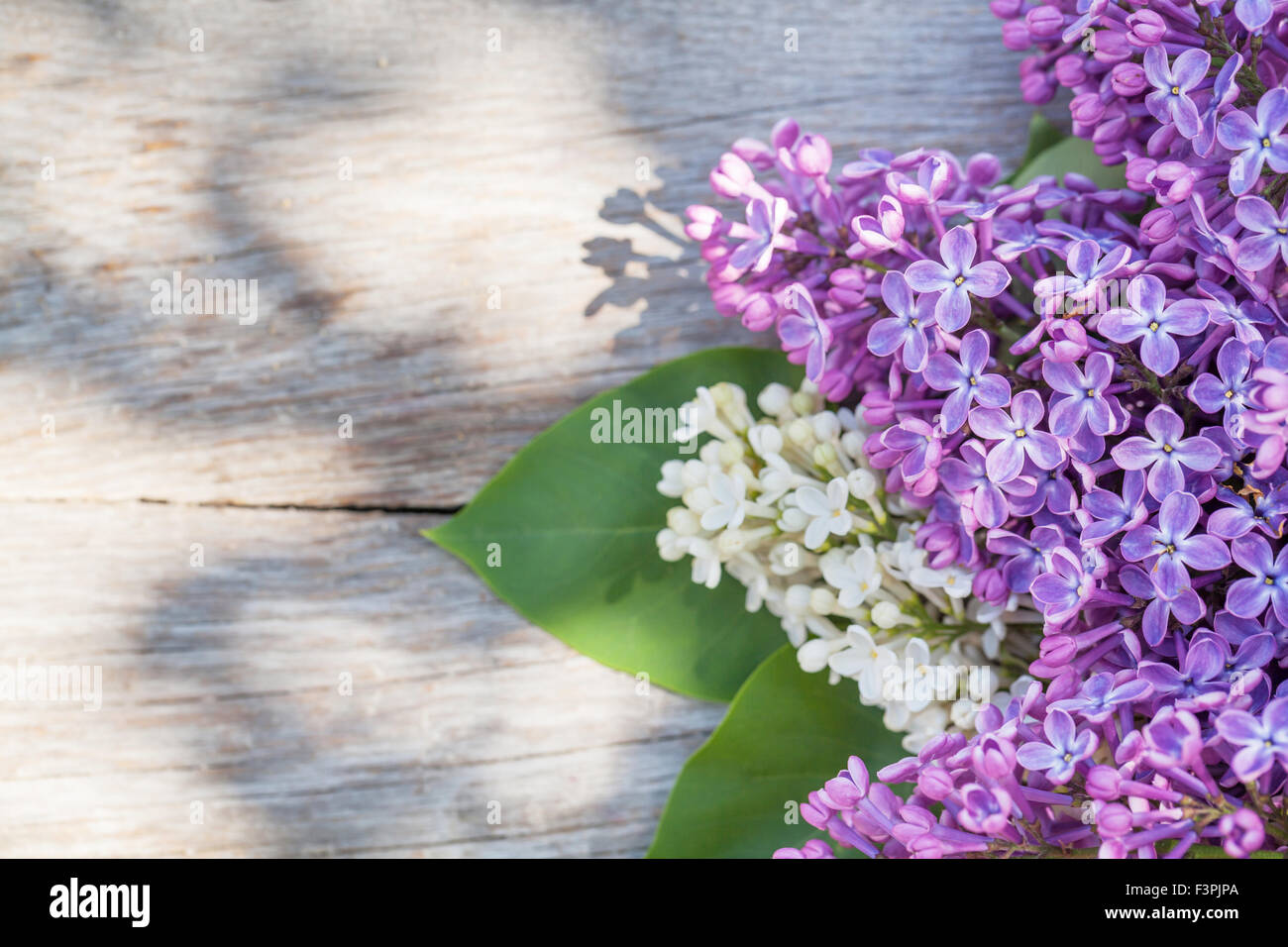 Colorful lilac flowers on garden table. Top view with copy space Stock Photo