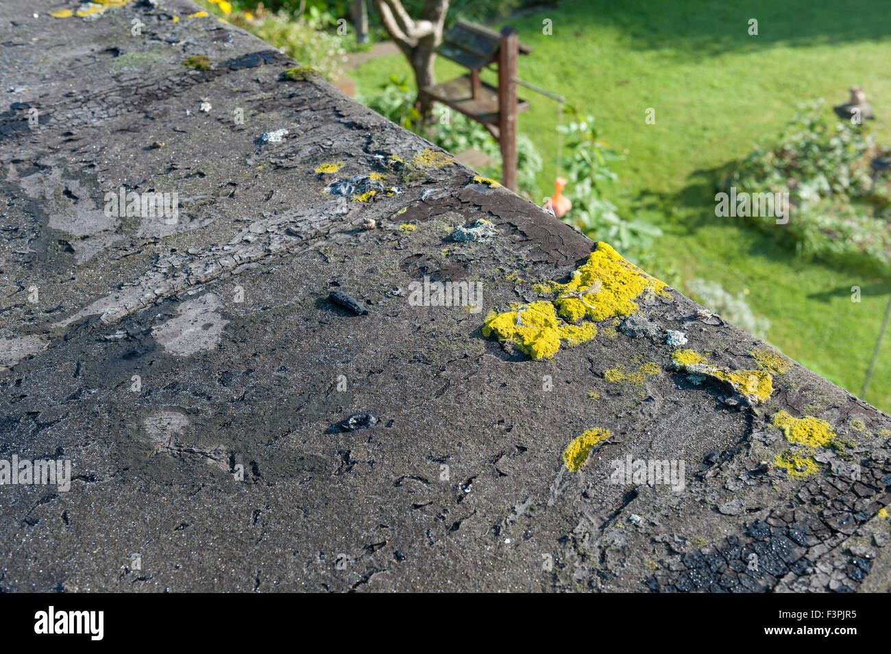 Failing and deteriorating flat roof cracked up opening joint cracks perished roof old and Failing and deteriorating flat roof cracked up opening joint cracks perished roof old and