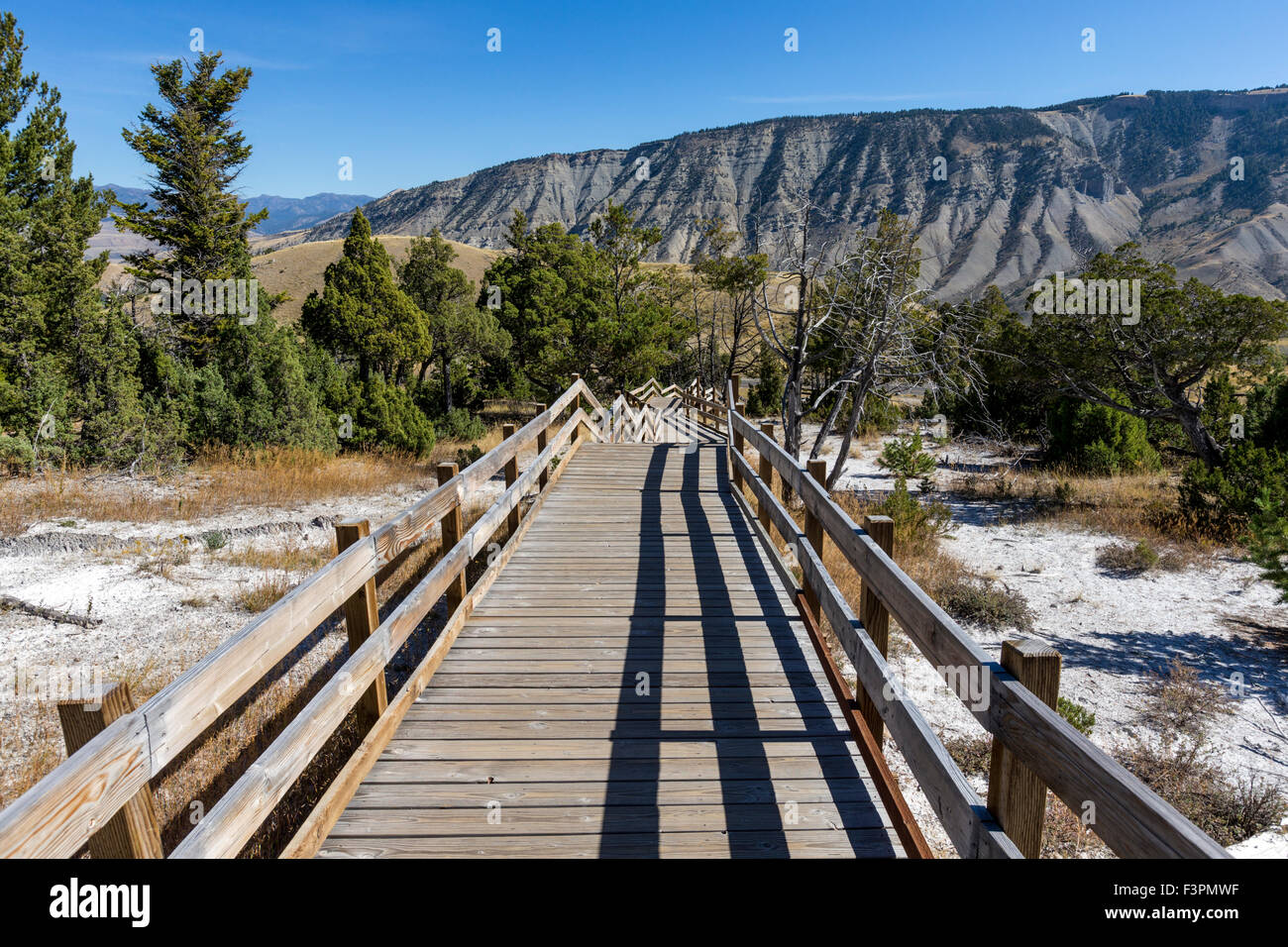 Boardwalk; Mammoth Hot Springs; Yellowstone National Park; Wyoming; USA Stock Photo