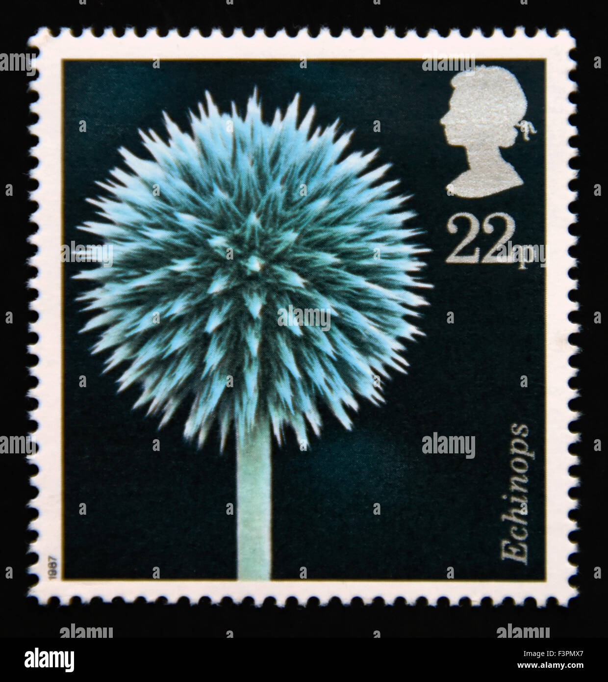 Postage stamp. Great Britain. Queen Elizabeth II. 1987. Flower Photographs by Alfred Lammer. 22p. Stock Photo