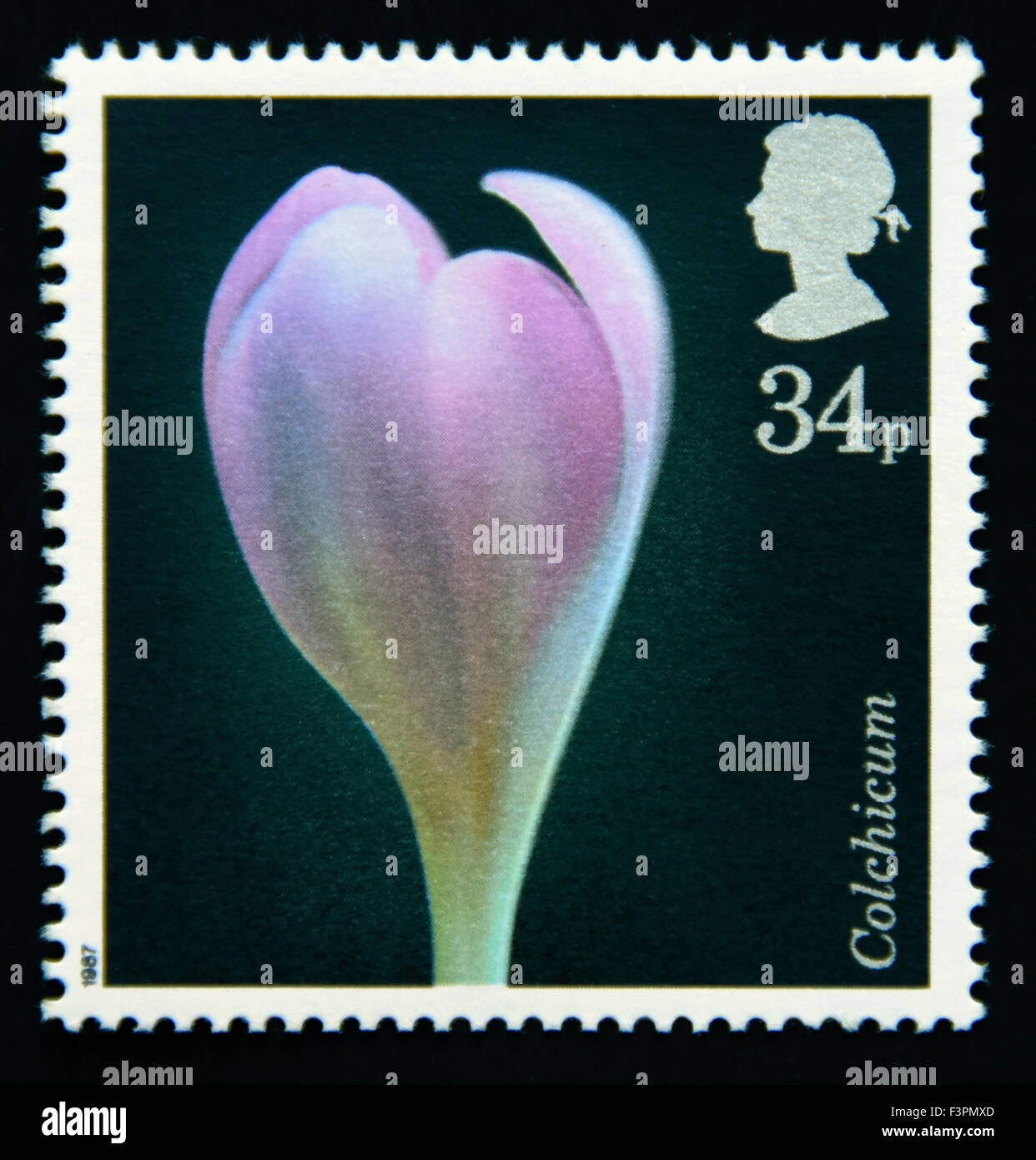 Postage stamp. Great Britain. Queen Elizabeth II. 1987. Flower Photographs by Alfred Lammer. 34p. Stock Photo