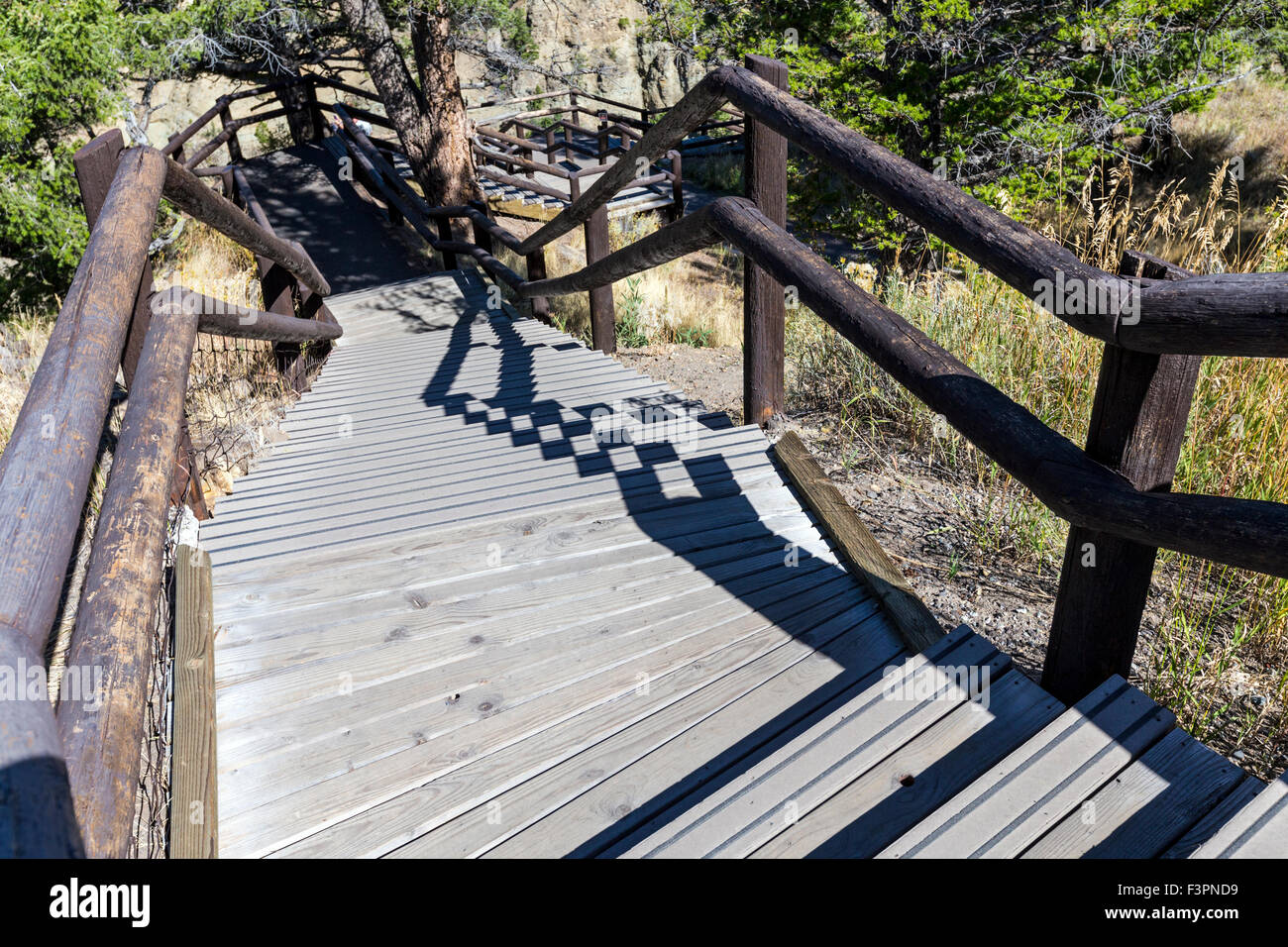 Stairs to overlook platform; Yellowstone River; Grand Canyon of the Yellowstone, Yellowstone