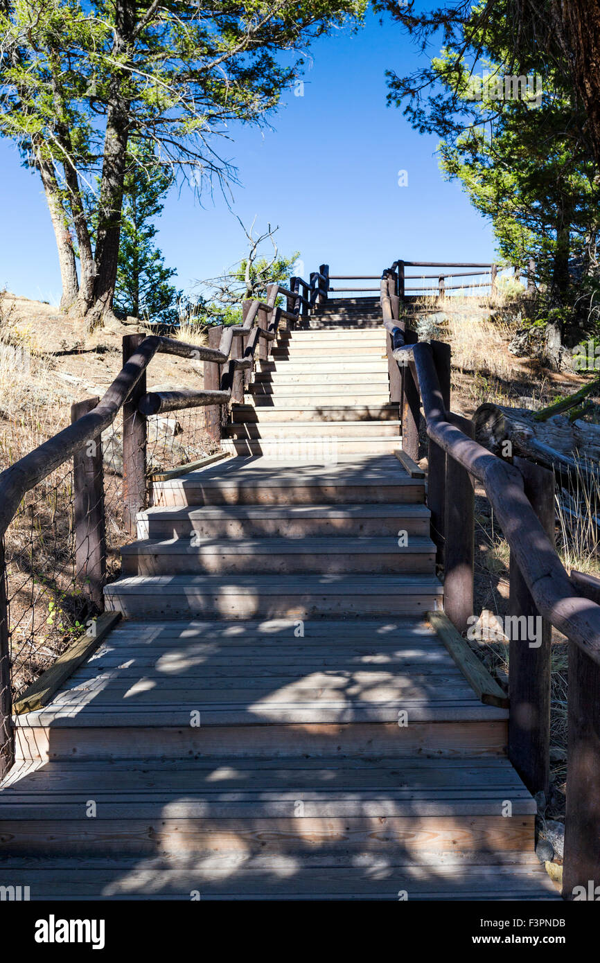 Stairs to overlook platform; Yellowstone River; Grand Canyon of the Yellowstone, Yellowstone