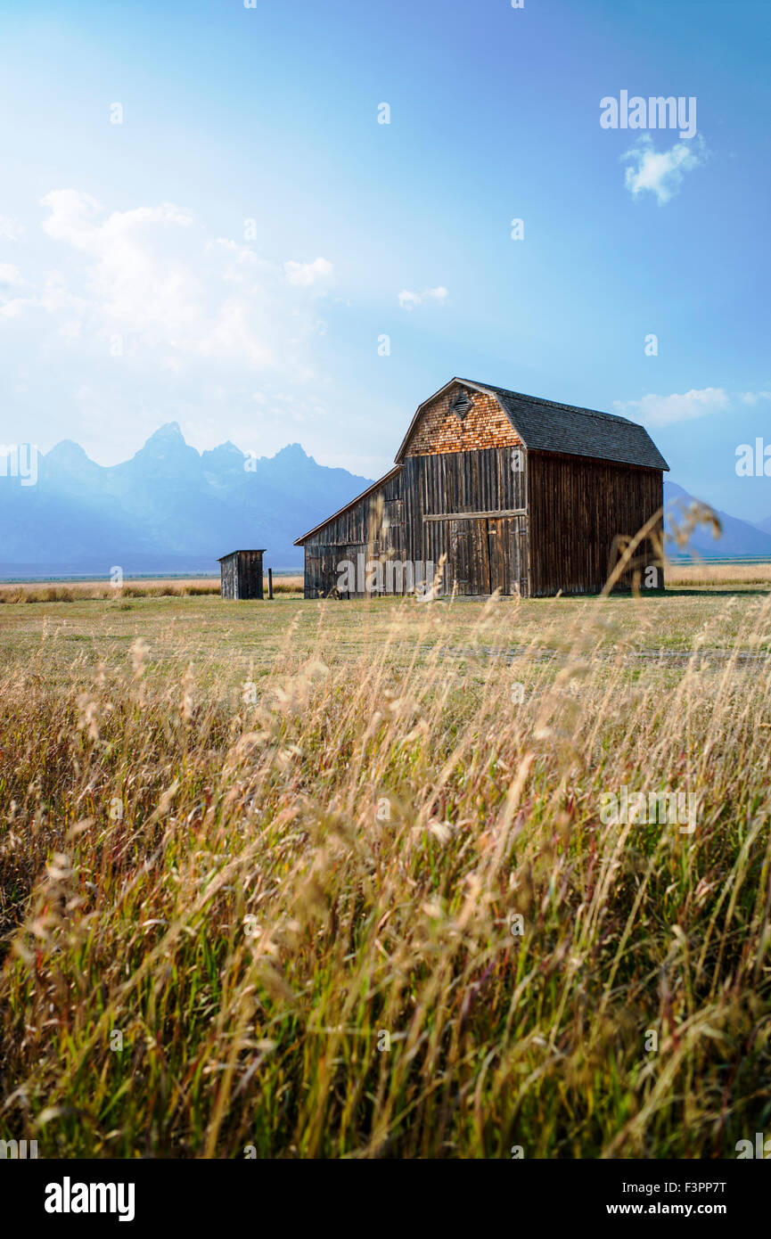 Historic Thomas Murphy barn; Moulton Homestead (c 1910); Mormon Row Historic District; Grand Teton National Park; Wyoming; USA Stock Photo
