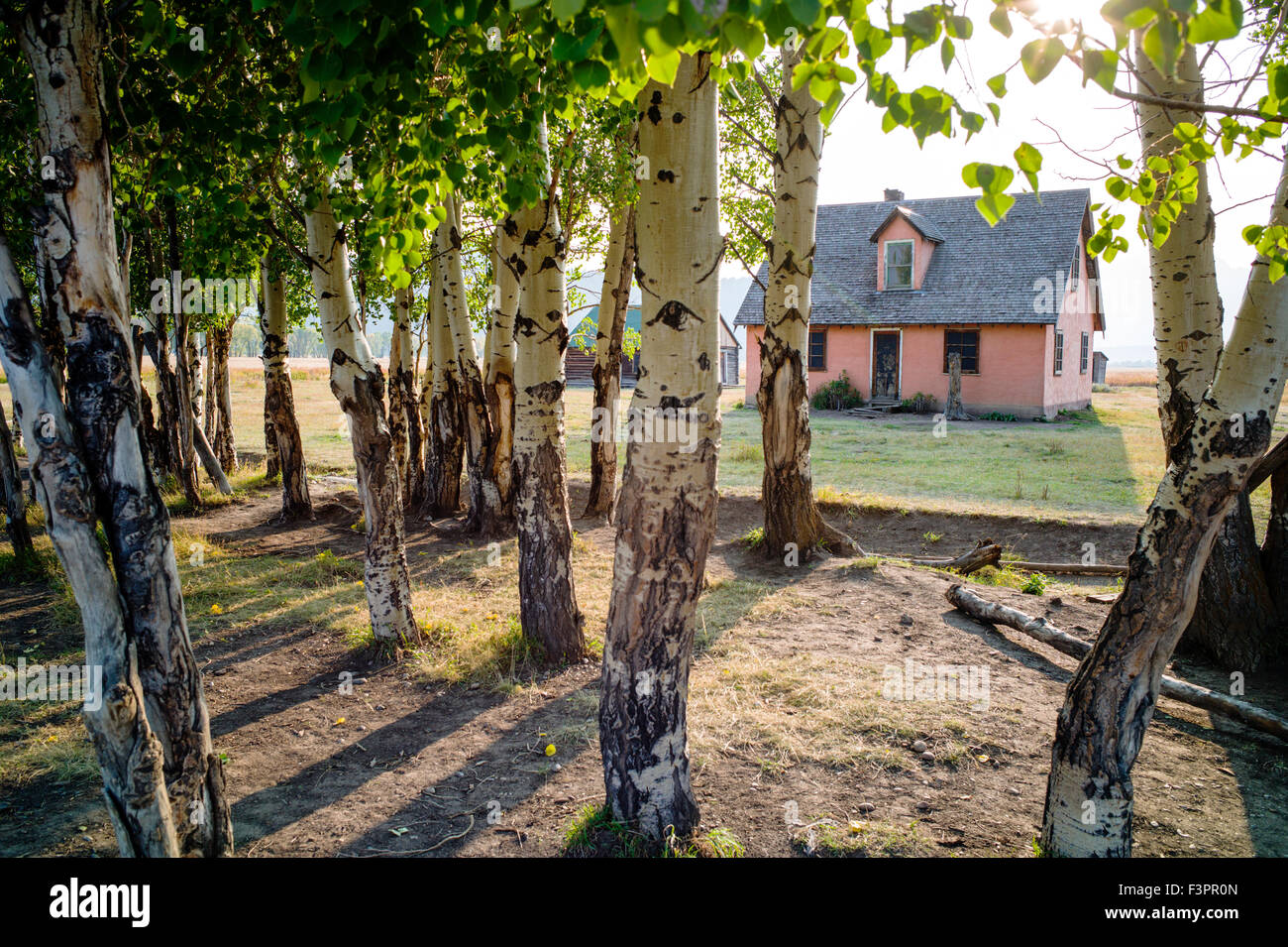 Historic Pink Stucco house; John Moulton Homestead (c 1910), Mormon Row