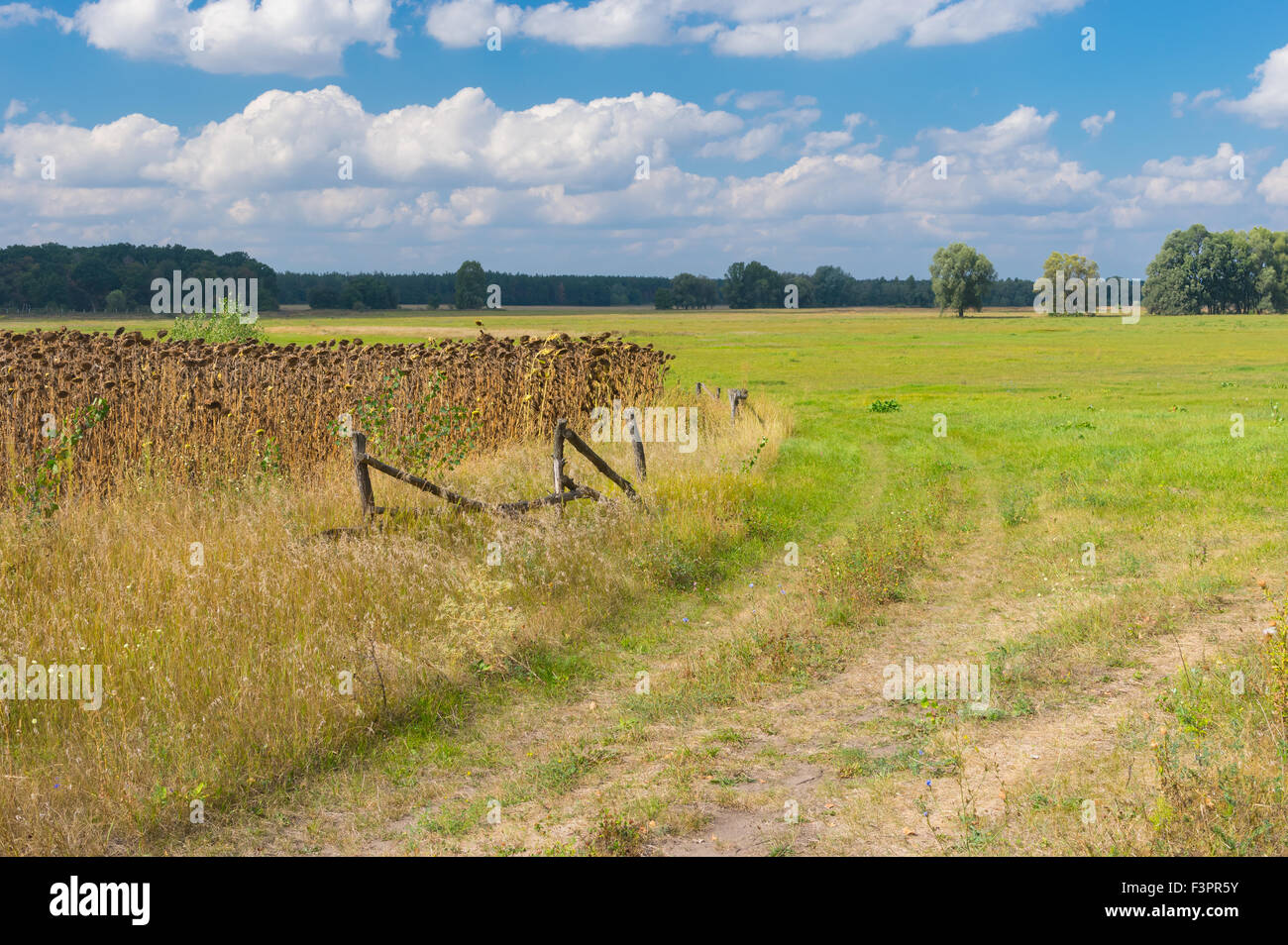 Late Summer Landscape In Rural Area Central Ukraine Stock Photo Alamy