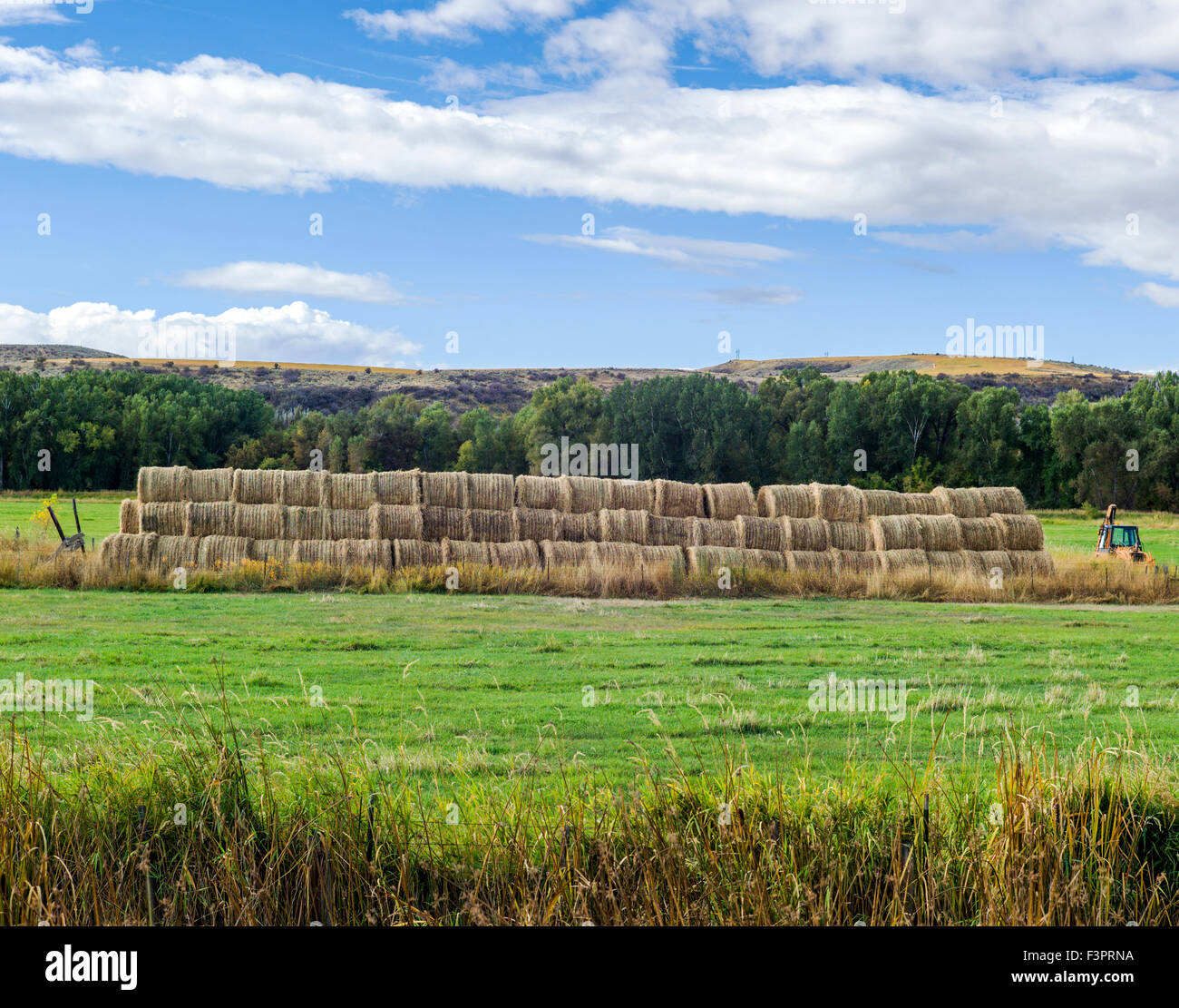 Rolled bales of hay east of Craig, Colorado, USA Stock Photo