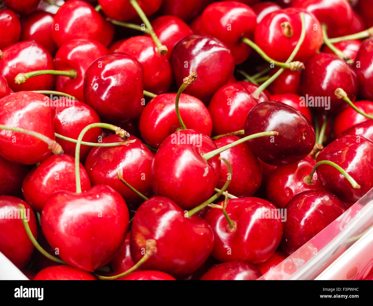 Italy, Emilia-Romagna region, Bologna - market food sellers. Fruit and vegetable market. Cherries from Puglia. Stock Photo