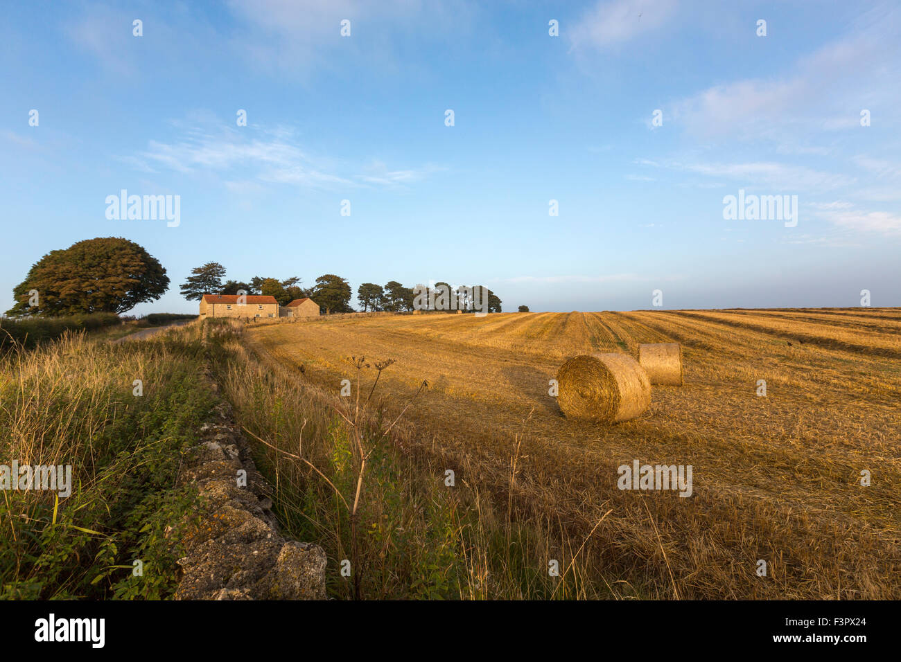 Northallerton hires stock photography and images Alamy