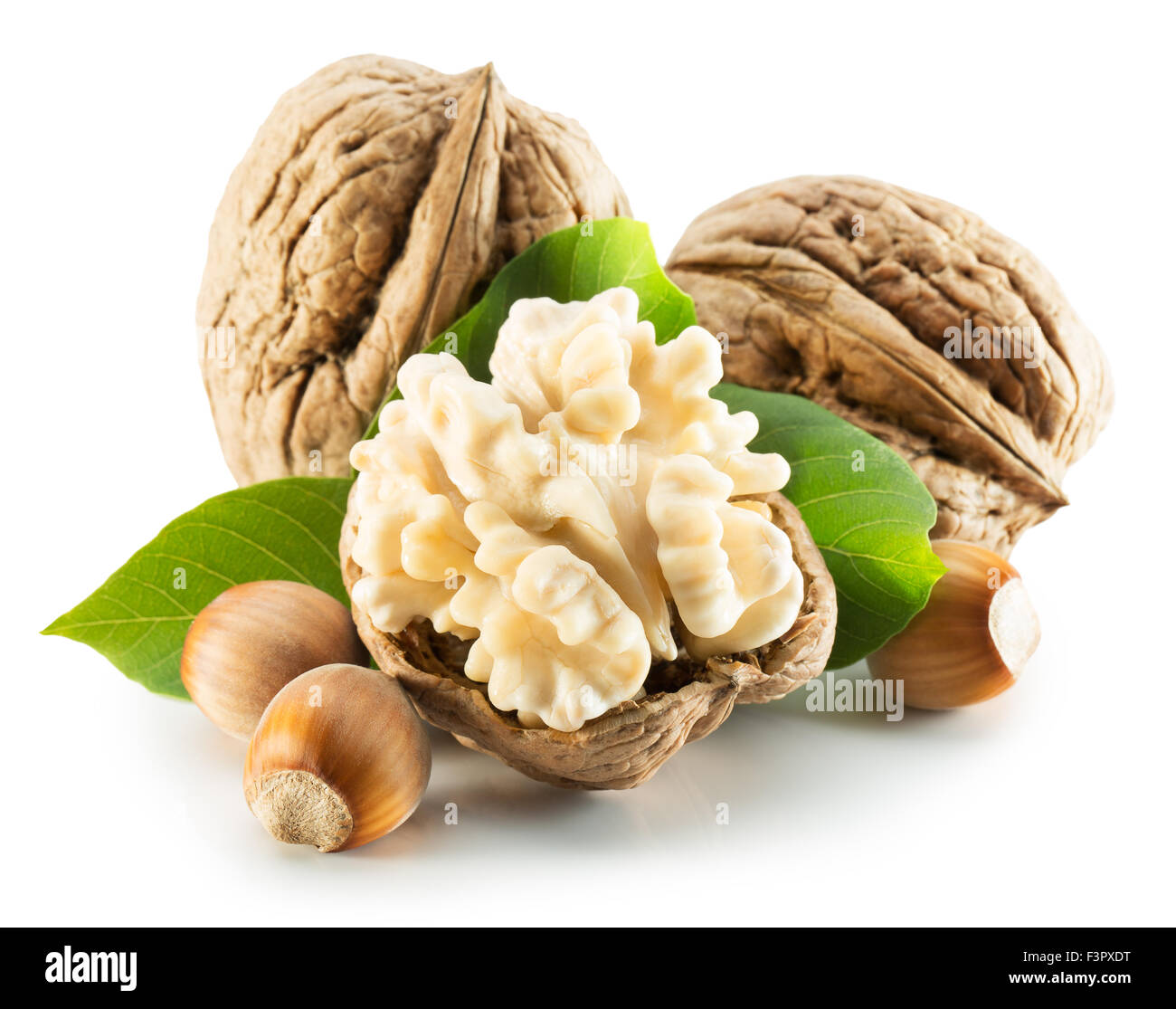 walnuts with leaves and hazel nuts isolated on the white background. Stock Photo