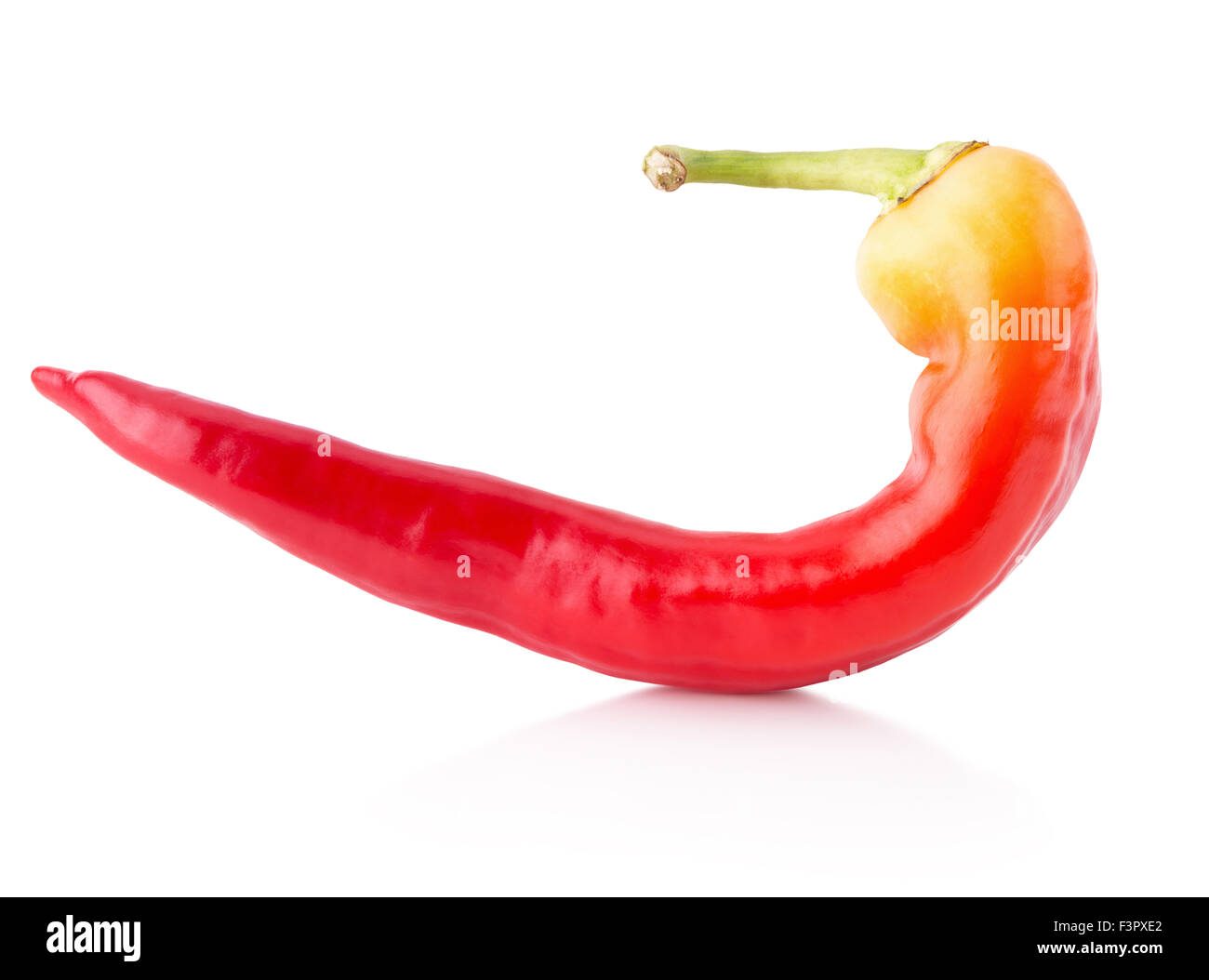 chilly pepper isolated on the white background. Stock Photo