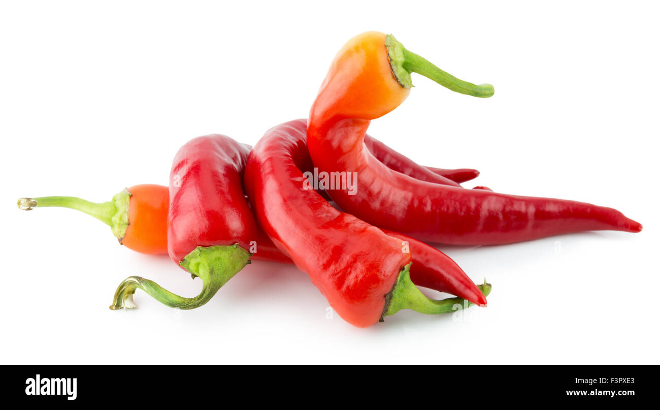 red chilly peppers isolated on the white background. Stock Photo