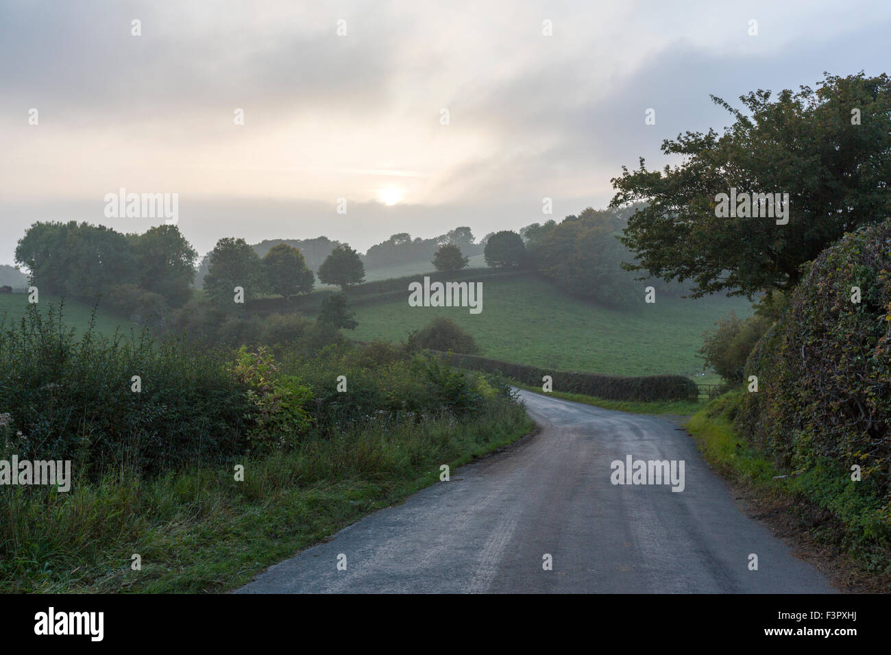 Countryside road near Snilesworth at dusk Northallerton North