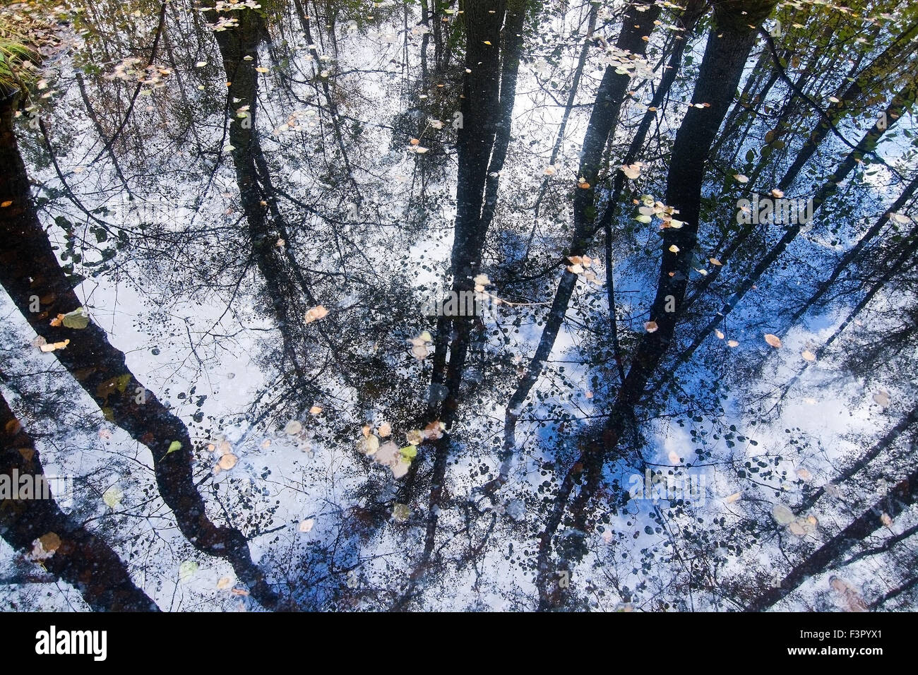 Sky reflection in water hi-res stock photography and images - Alamy