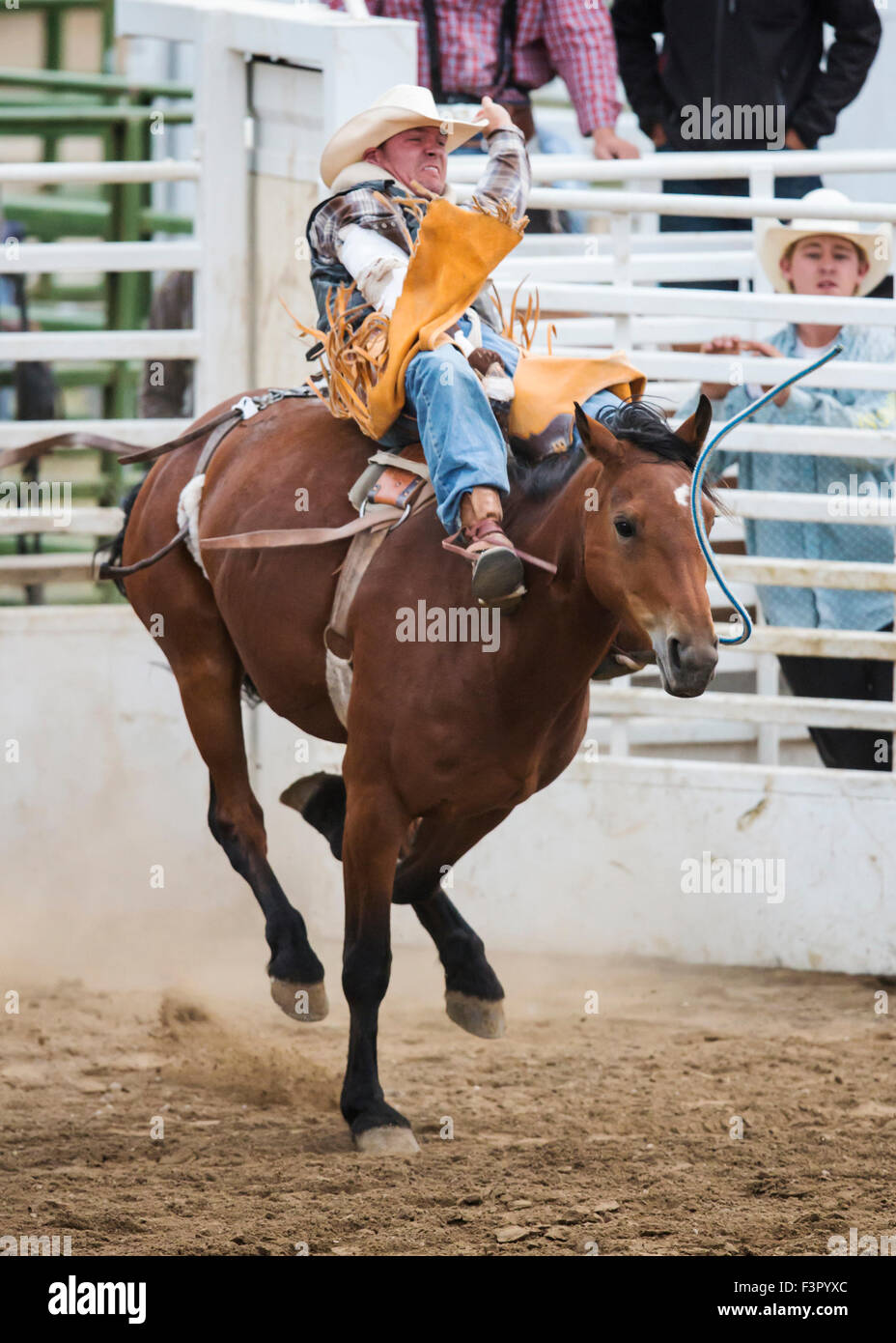 Horse Rider Rodeo Dare to hope horse hi-res stock photography and images - Alamy
