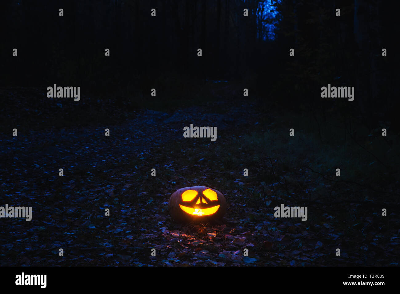 Pumpkins for Halloween Stock Photo - Alamy