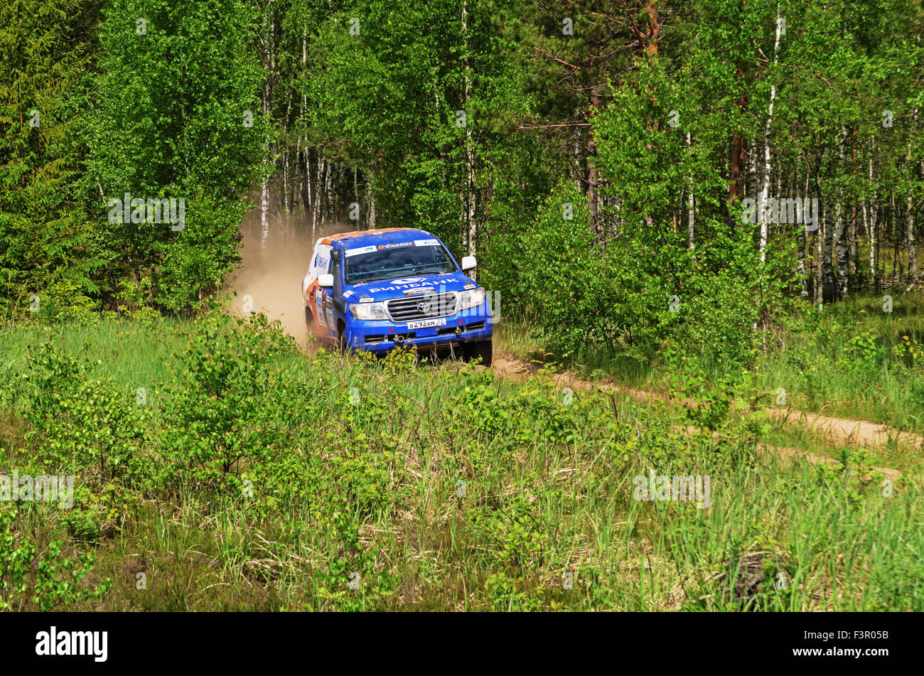 Rally car on special forest hi-res stock photography and images - Alamy