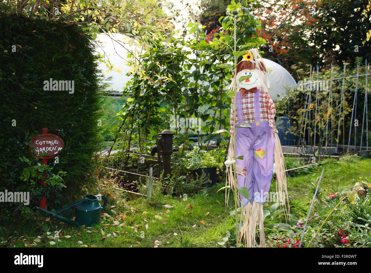 A scarecrow stands at the entrance of a vegetable patch in the walled garden of Meersbrook Park, Sheffield England UK - October Stock Photo