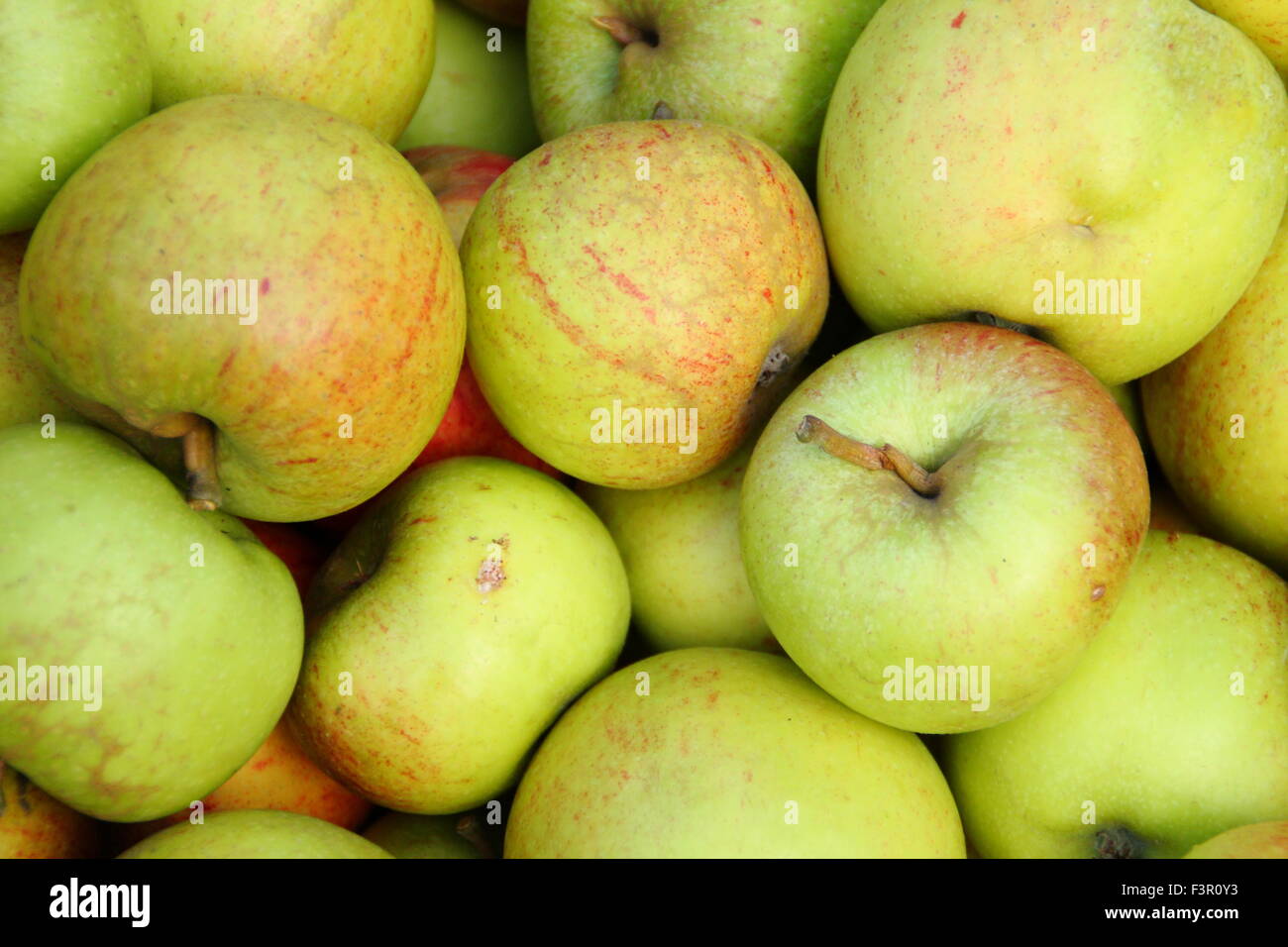 English apples, harvested from gardens are gathered for pressing at an Apple Day festival at Sheffield, Yorkshire, UK - October Stock Photo