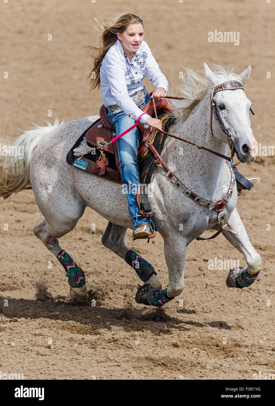 Rodeo cowgirl on horseback competing in barrel racing event, Chaffee County Fair & Rodeo, Salida, Colorado, USA Stock Photo