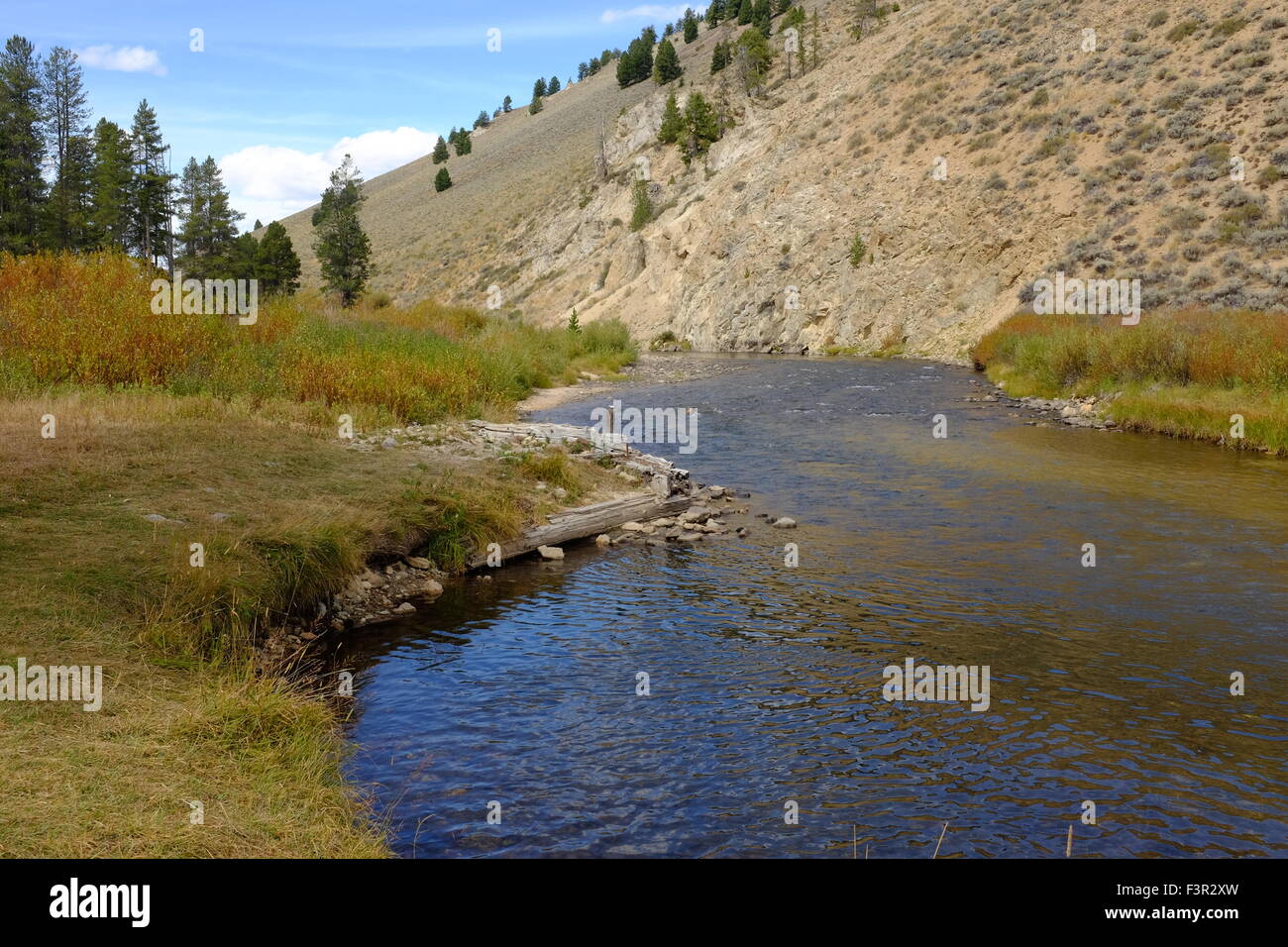 Salmon River in Idaho Stock Photo Alamy