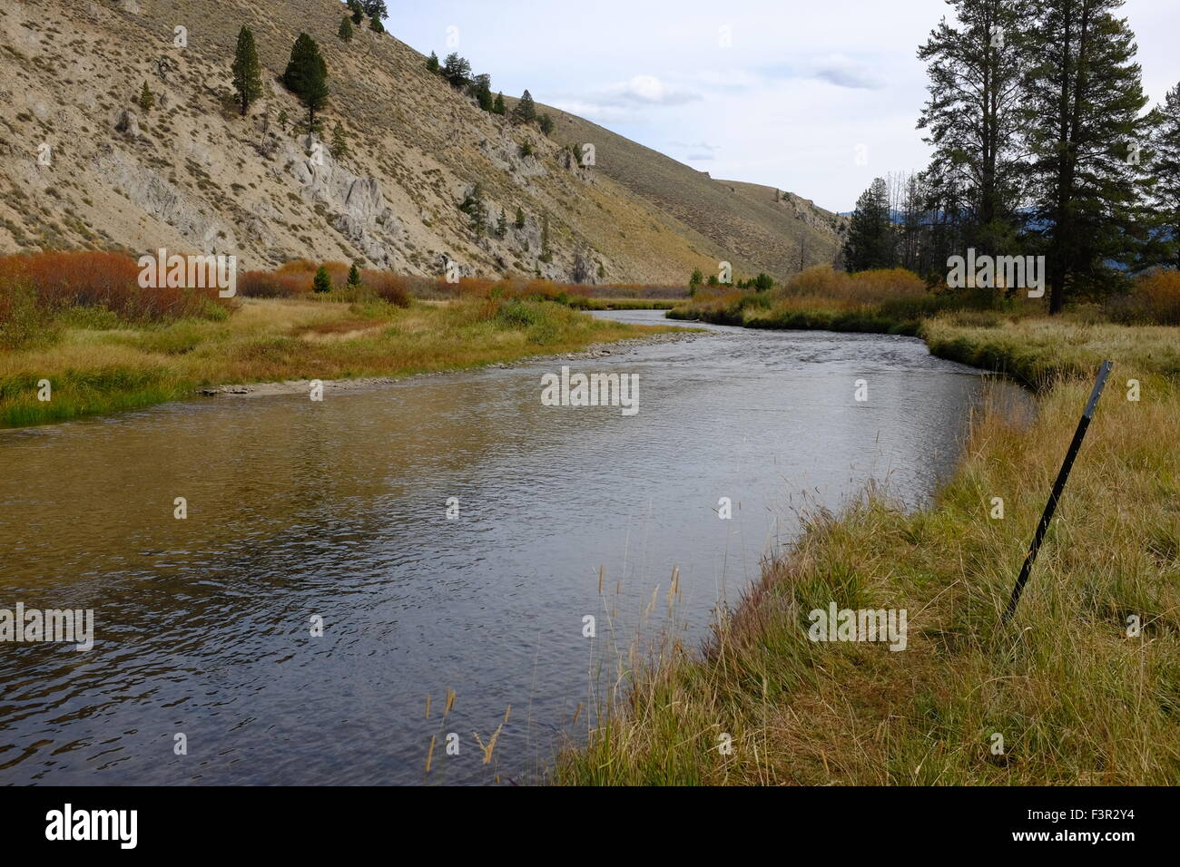 Salmon River in Idaho Stock Photo Alamy