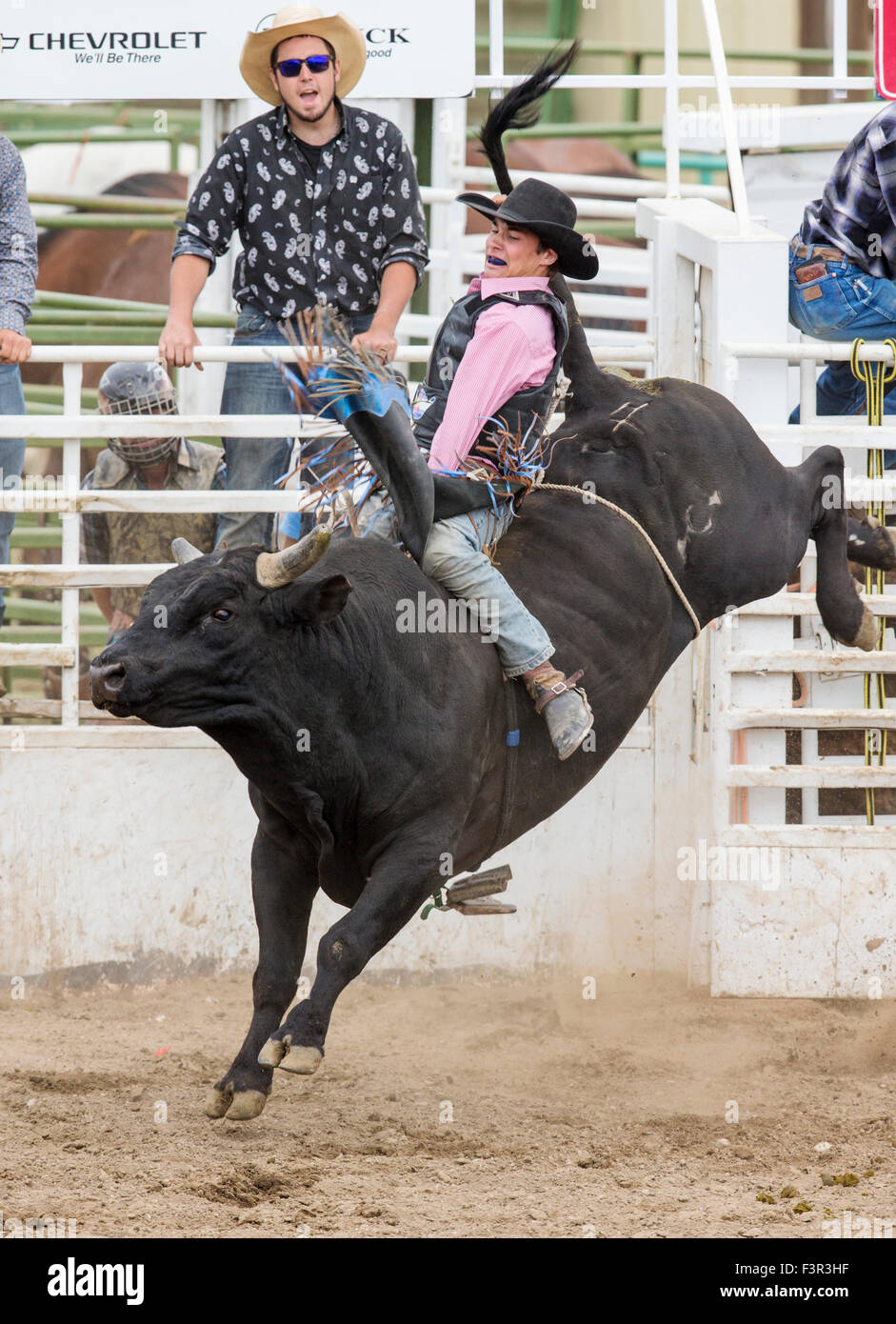Asteroid Bucking Bull Buckle