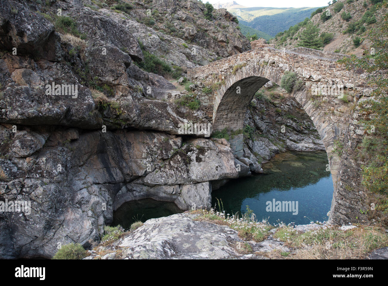 Genoese bridge, near Asco, Corsica, France Stock Photo