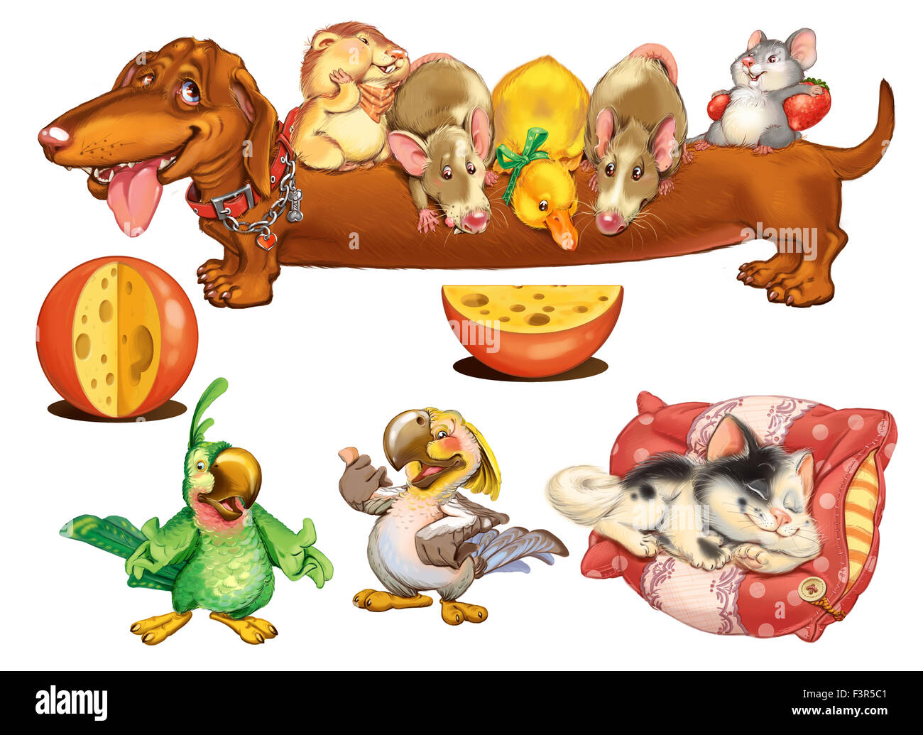 Welfare cards hi-res stock photography and images - Alamy